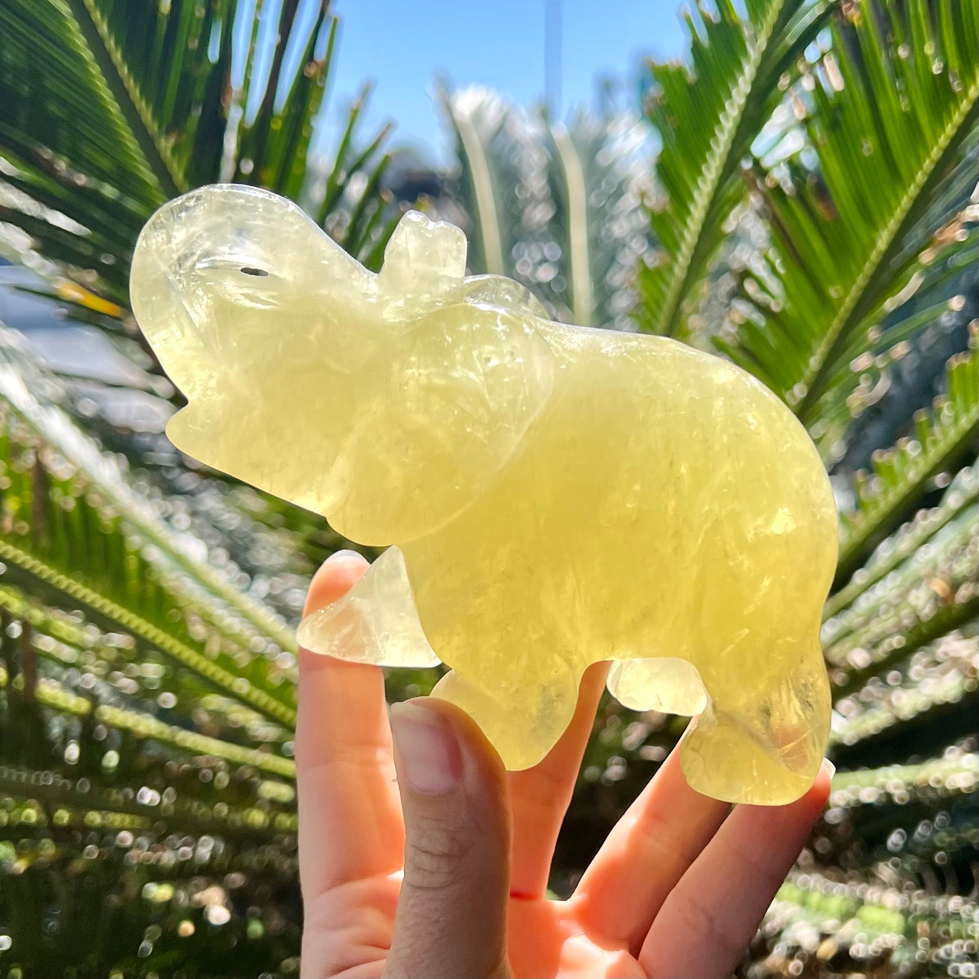 Lucky Elephant ~ Citrine