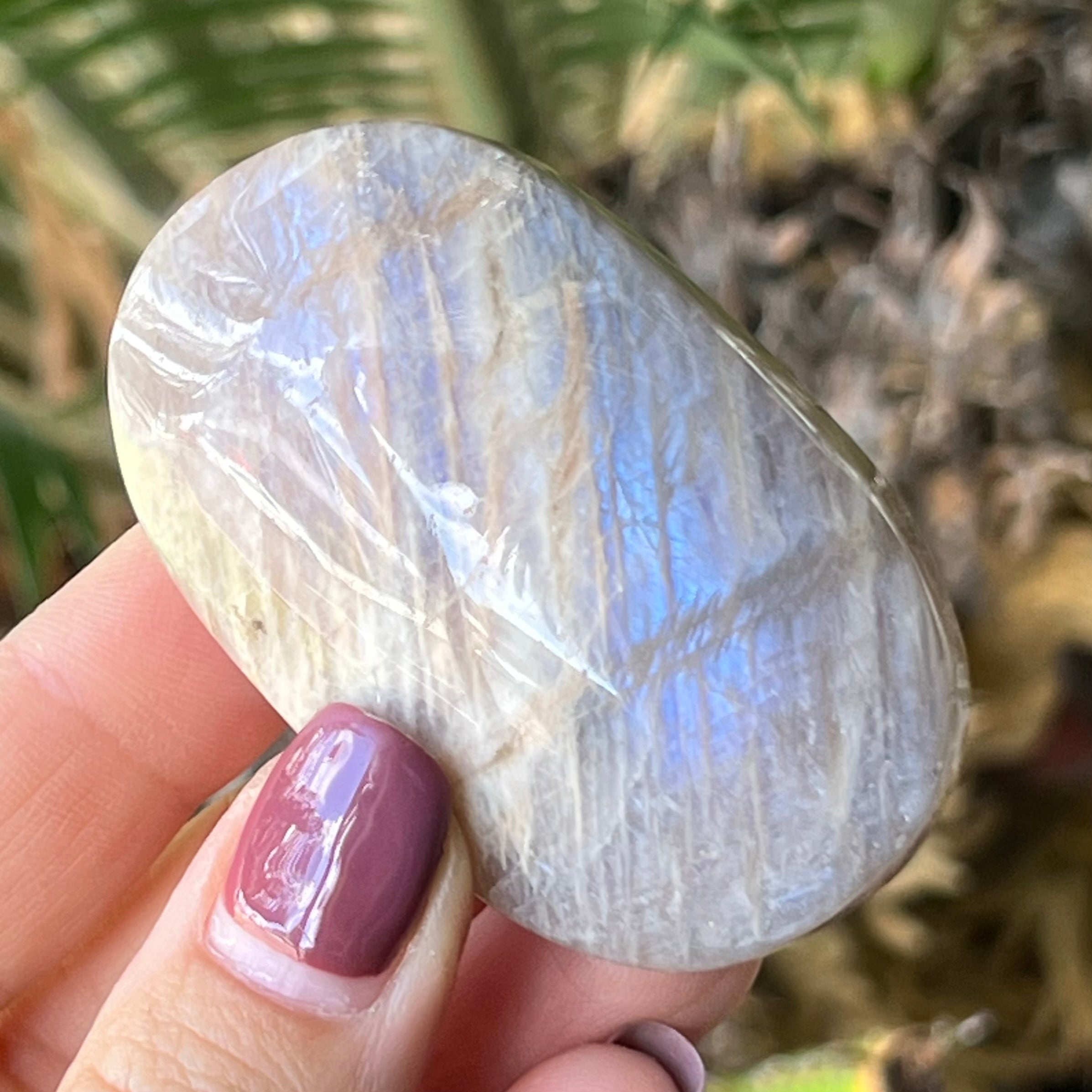 Rainbow Moonstone Palmstone