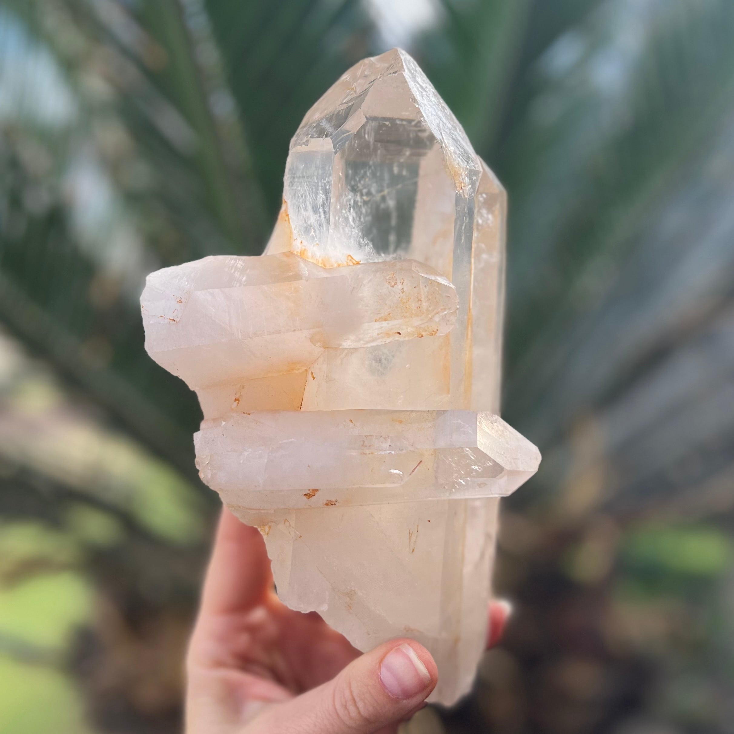 Clear Quartz Cluster