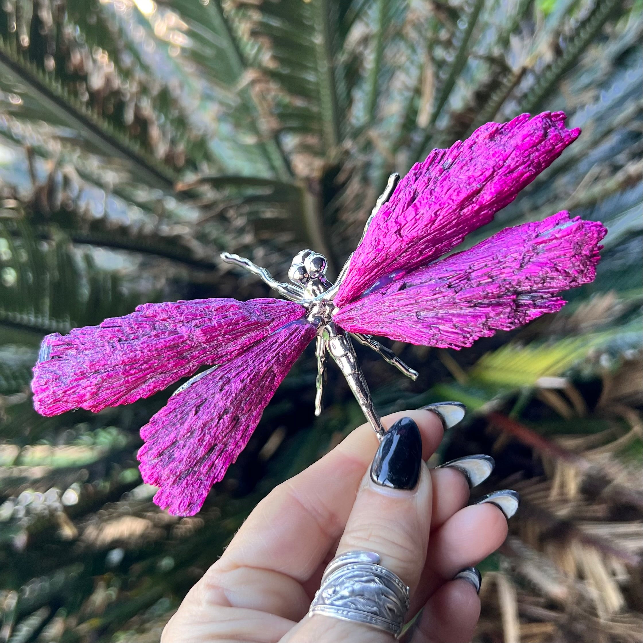 Dragon Fly ~ Kyanite Electroplate ~ Pink