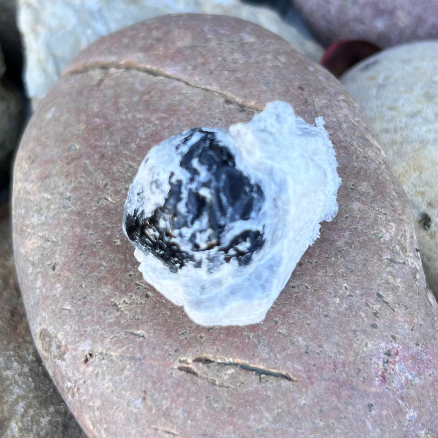 Apache Tears Raw Specimen