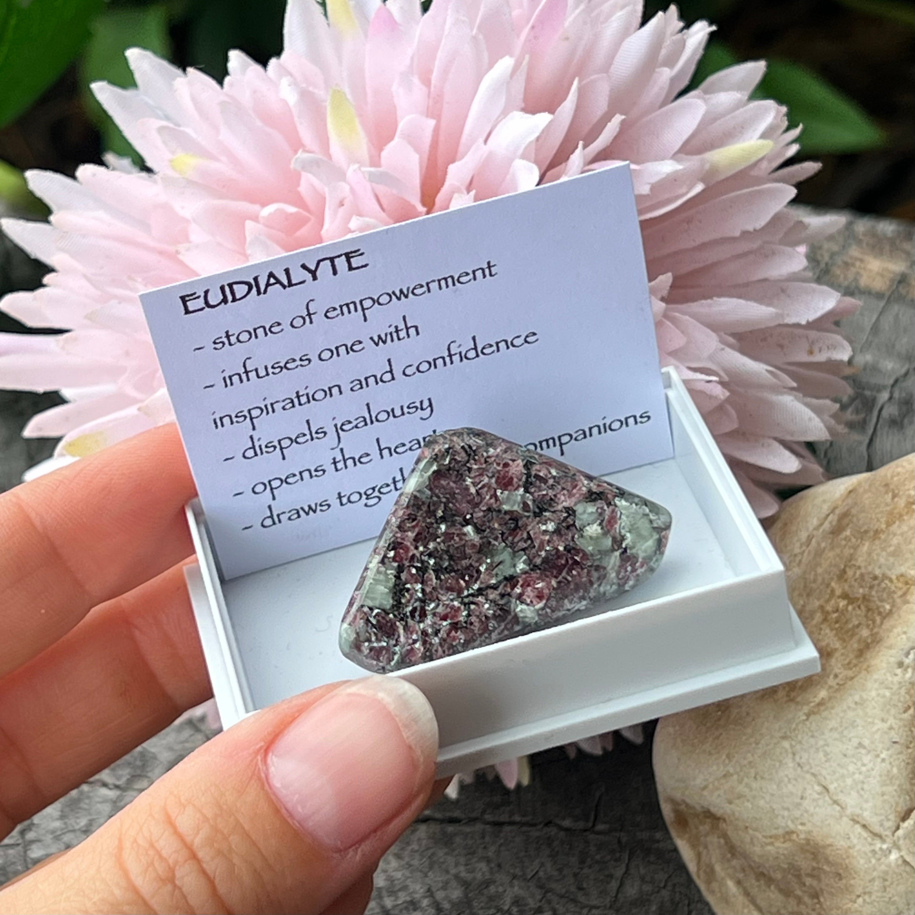 Eudialyte Tumble ~ Specialty Boxed Crystal