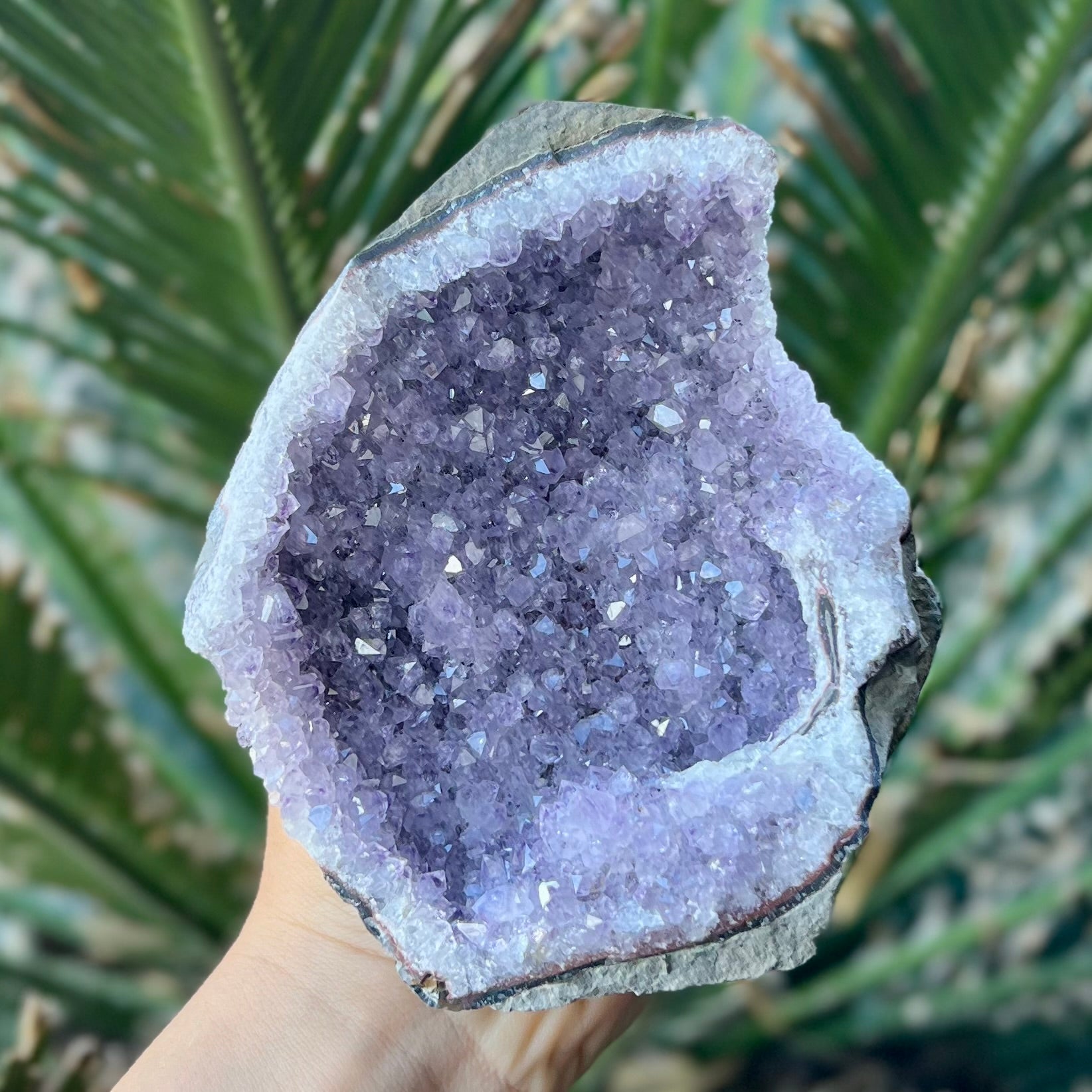 Amethyst Standing Cluster Geode