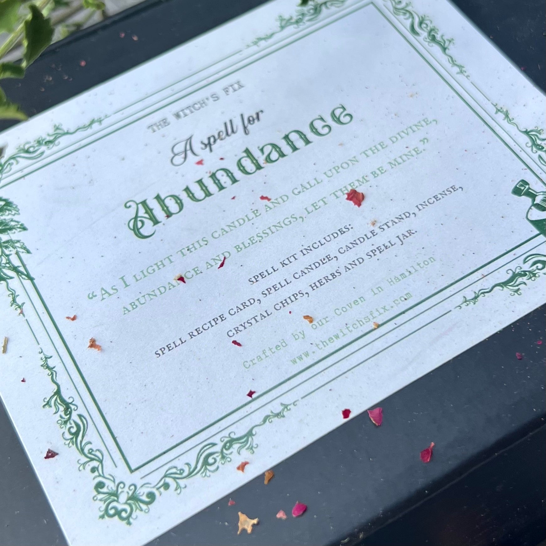 Abundance ~ Spell Kit