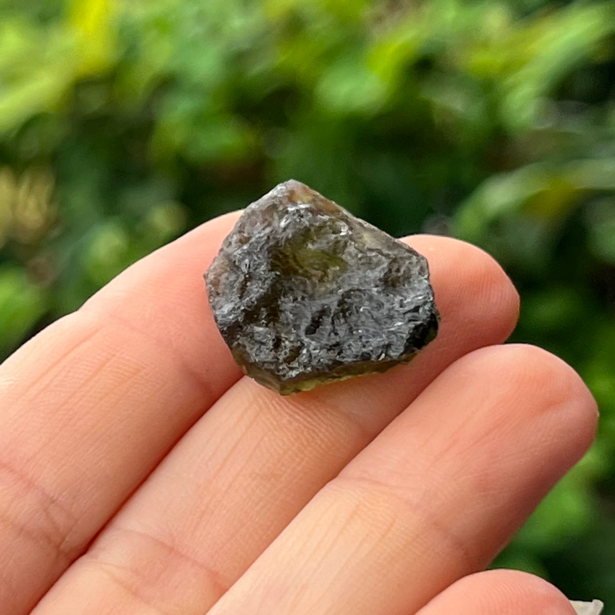 Raw Moldavite Specimen ~ RARE