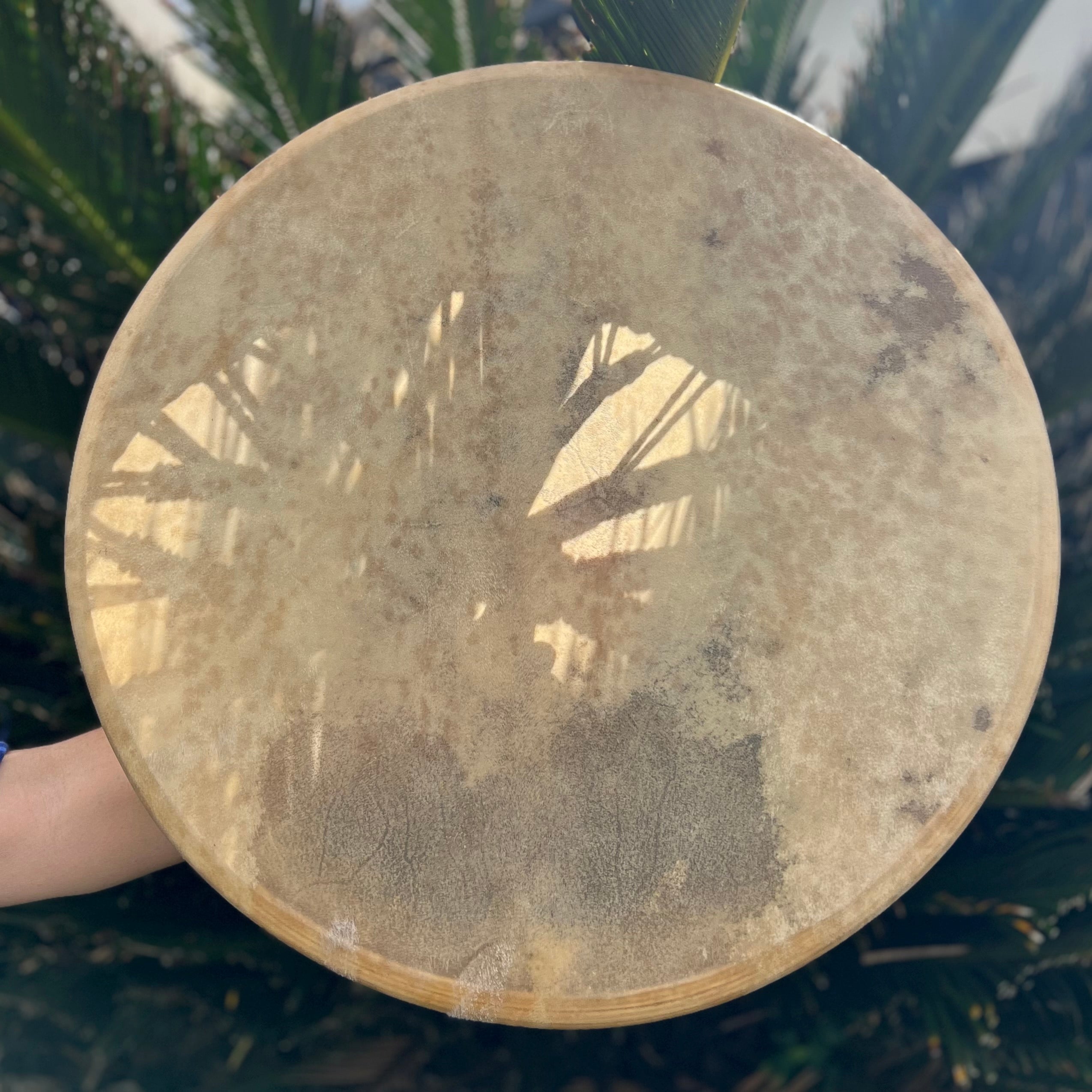 Medicine Drum Large - Goat Skin