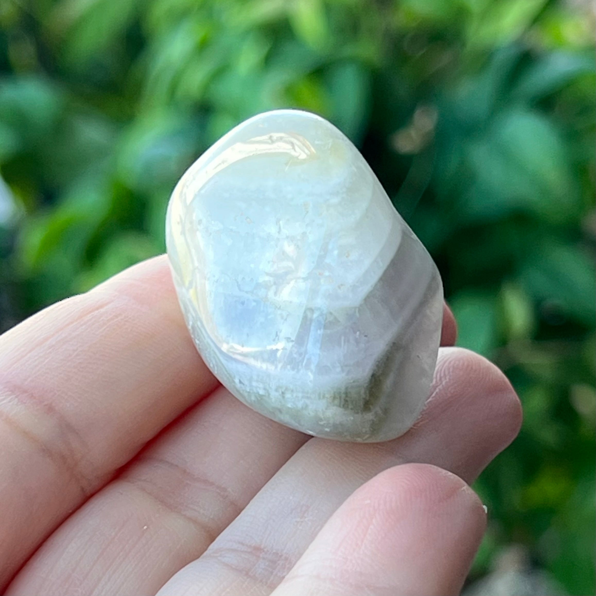 Amegreen ~ Specialty Boxed Crystal