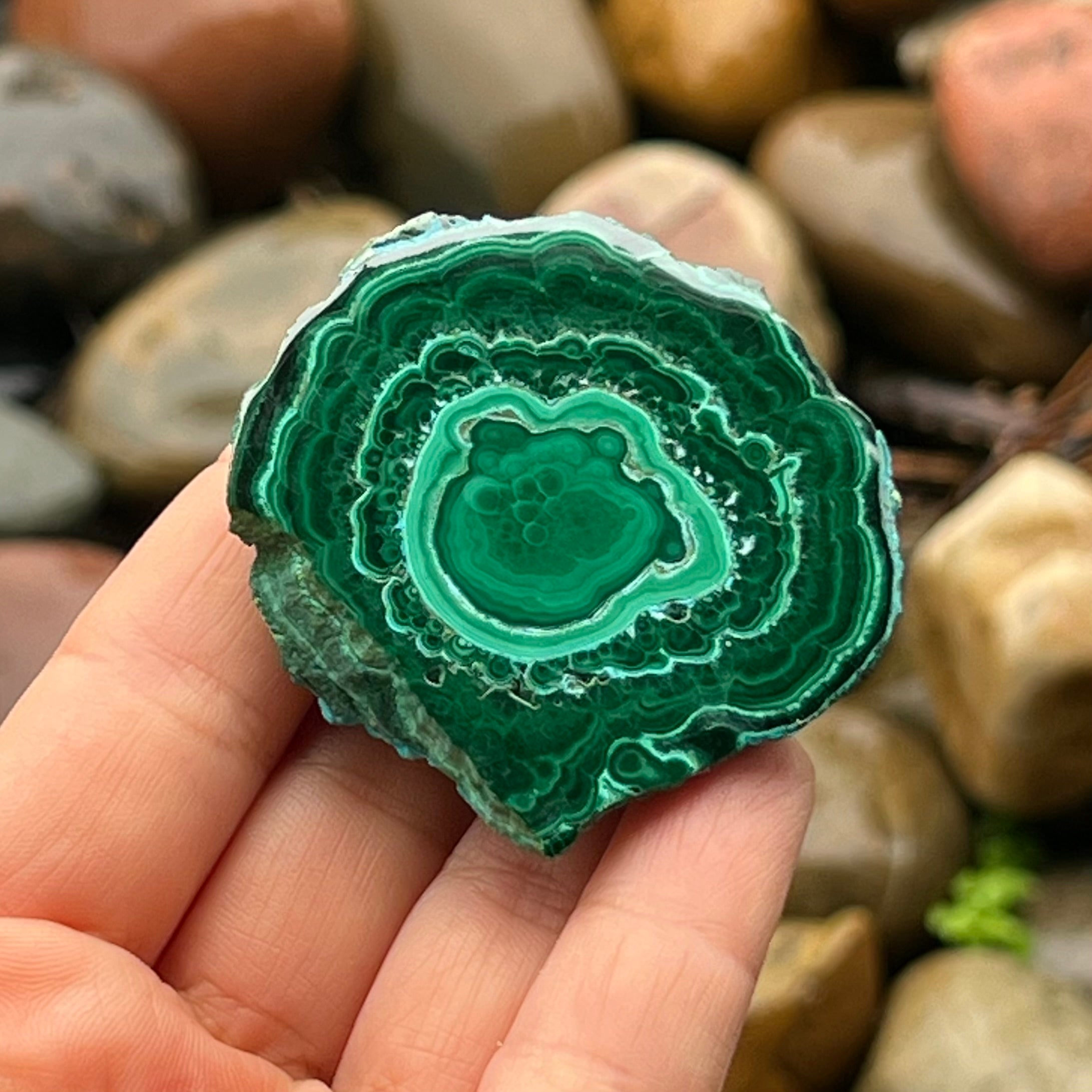 Malachite ~ Transformation
