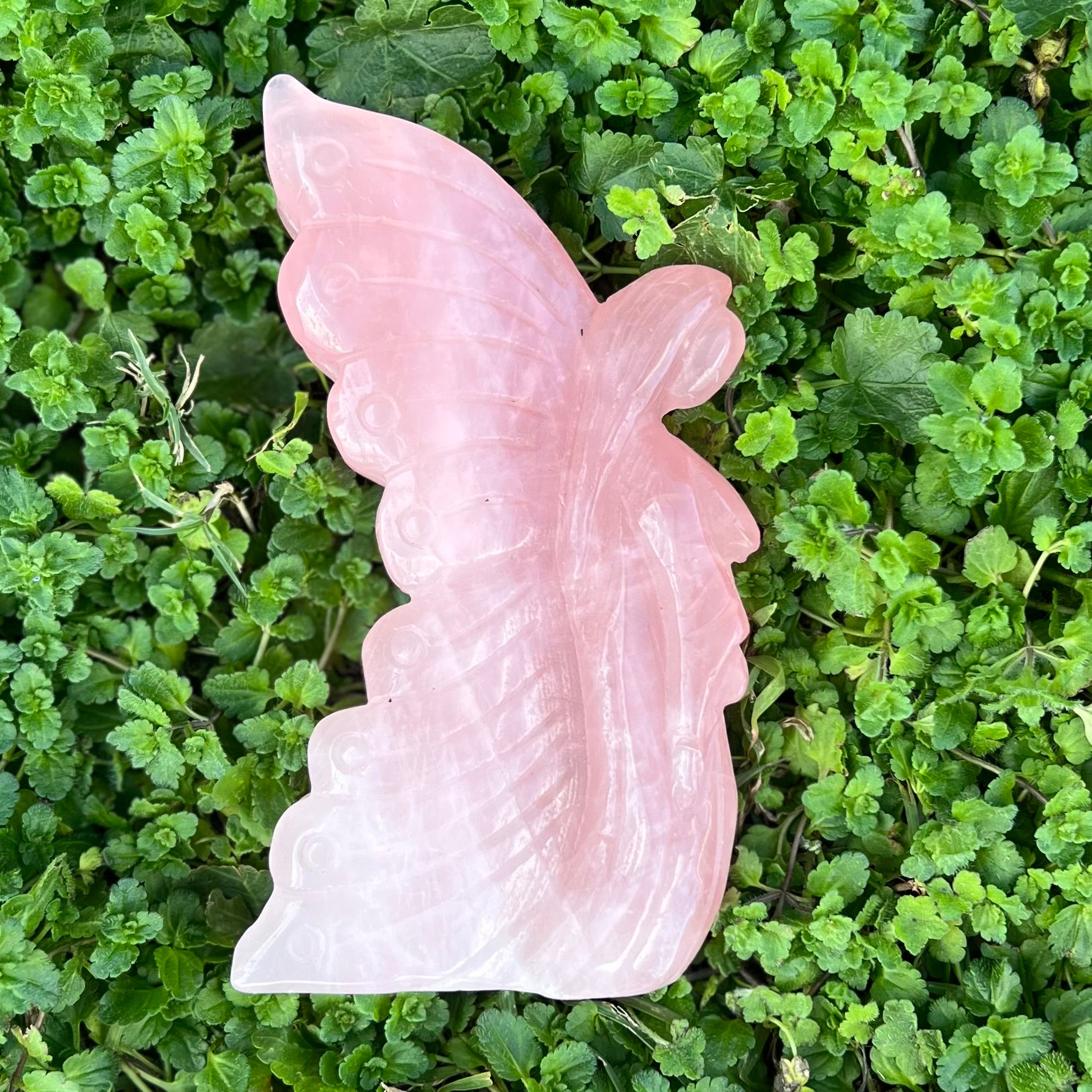 Lady Butterfly ~ Love ~ Rose Quartz