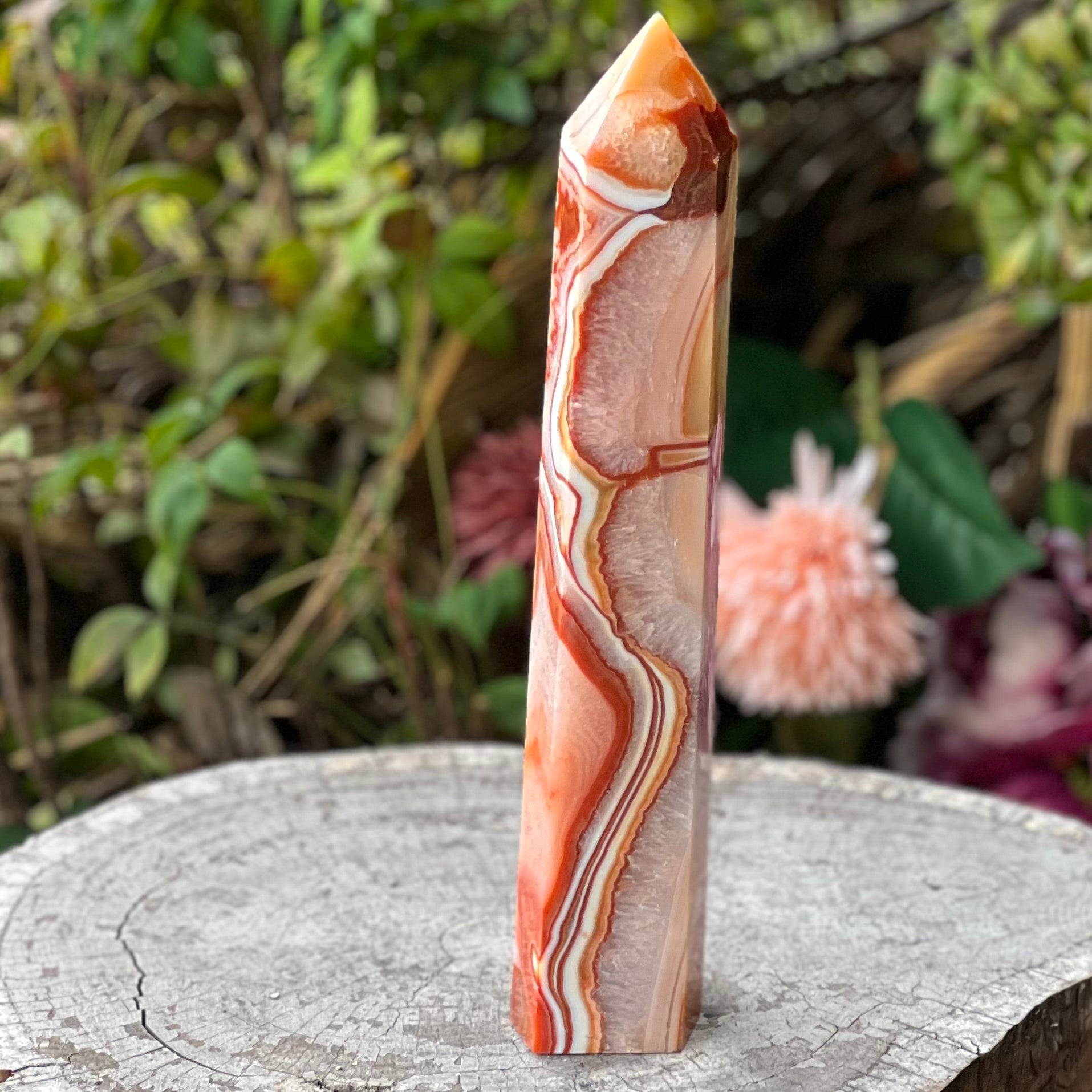 Carnelian with Quartz Generator Tower