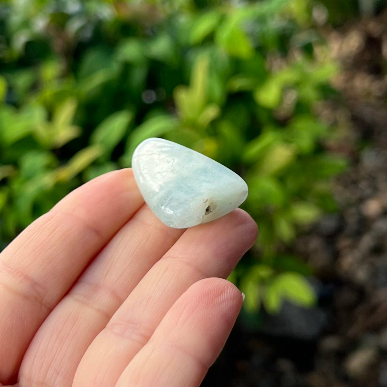 Aquamarine ~ Specialty Boxed Crystal