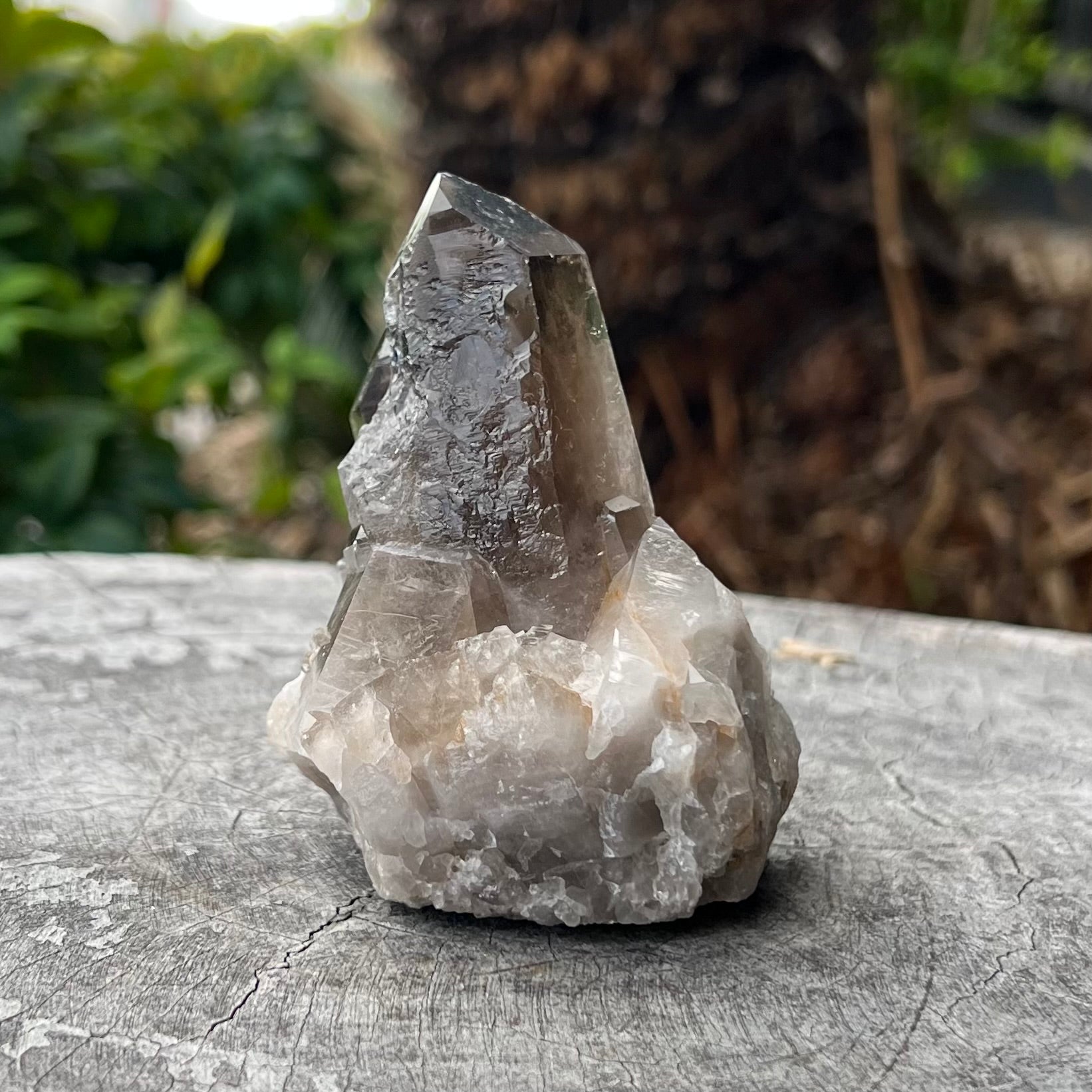 Smokey Quartz Natural Point