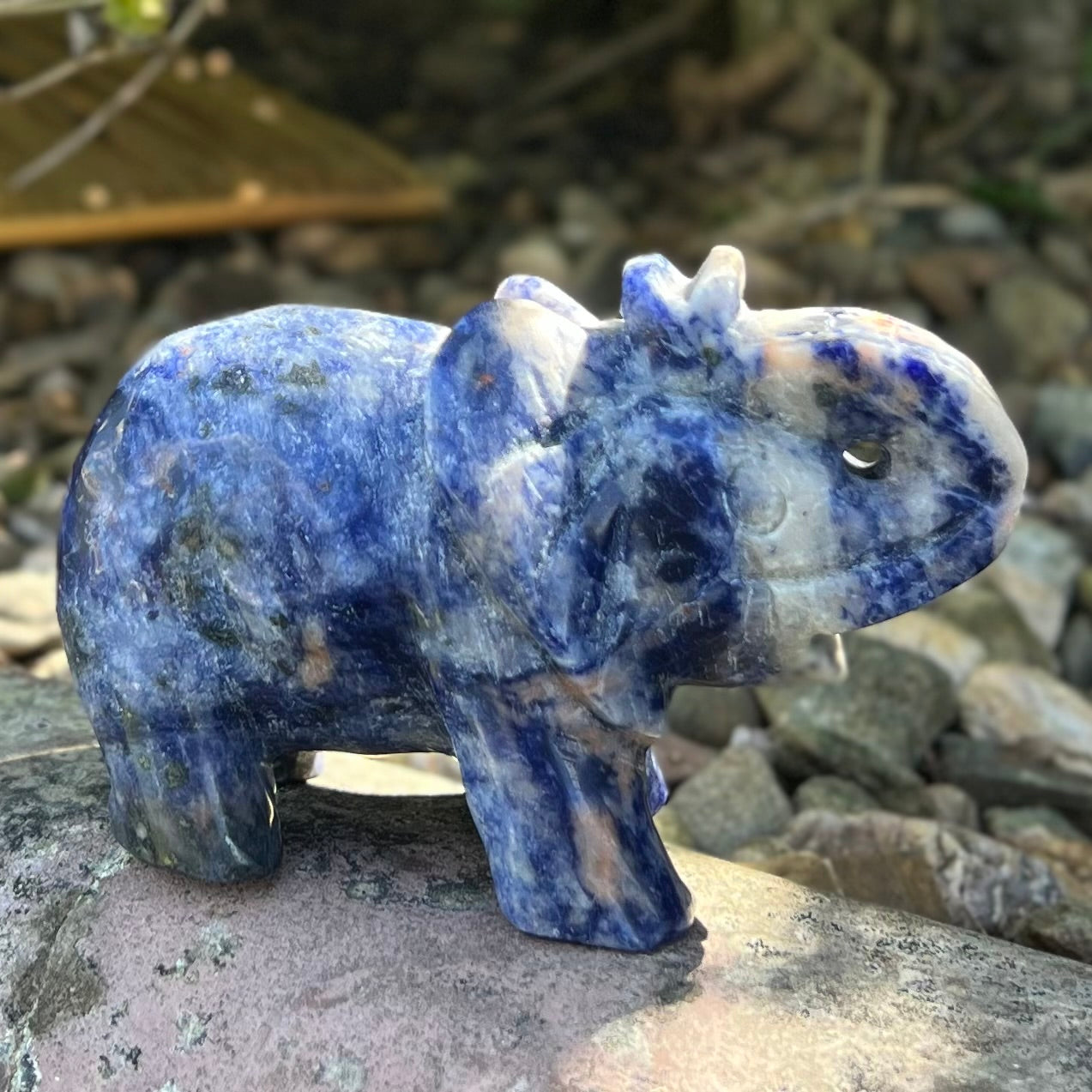Lucky Elephant ~ Sodalite