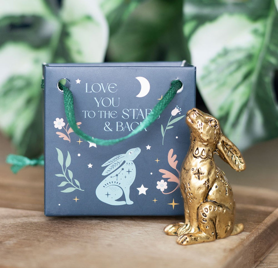 Moon Gazing Hare ~ Love You to the Stars and Back