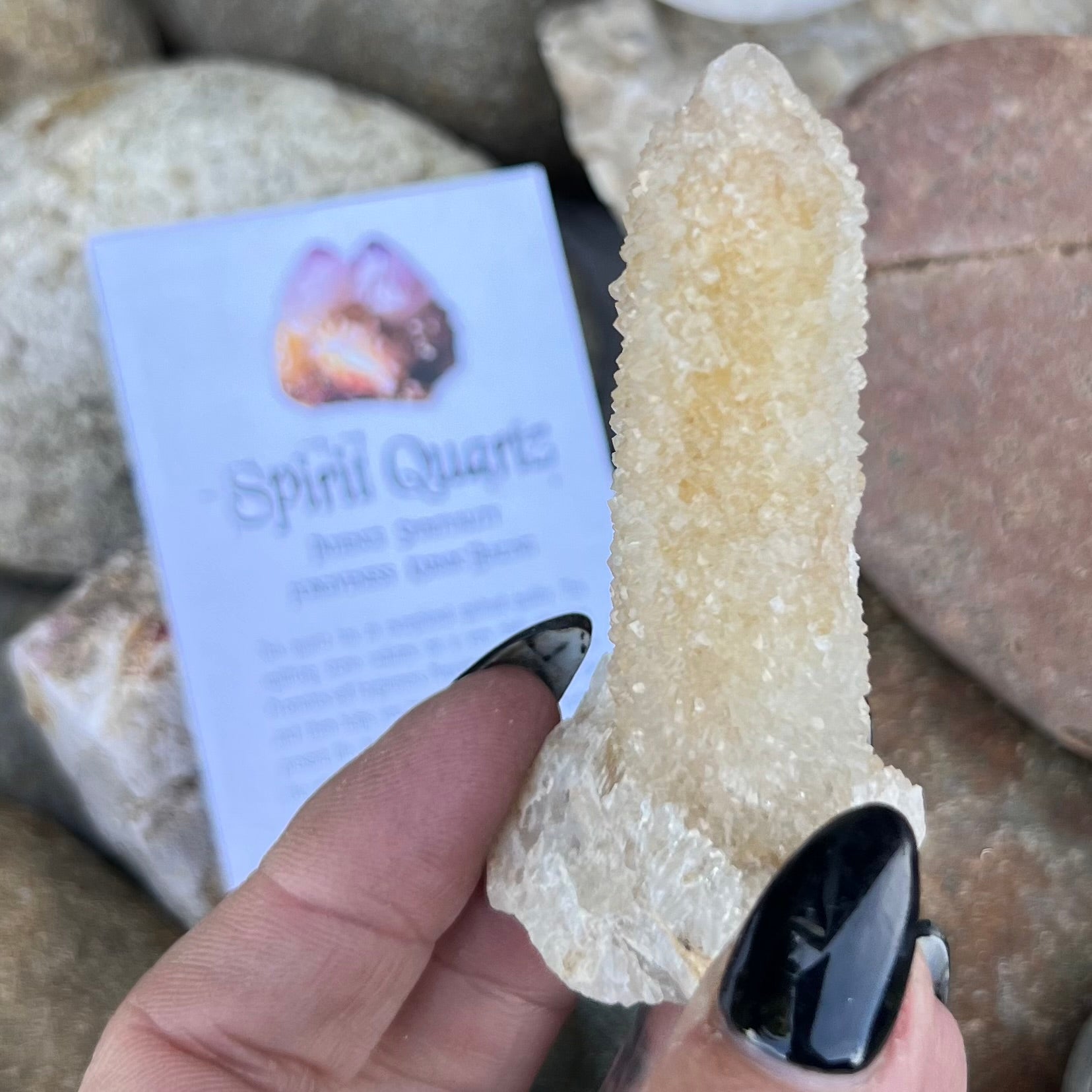 Spirit Quartz Cluster ~ Specialty Boxed Crystal