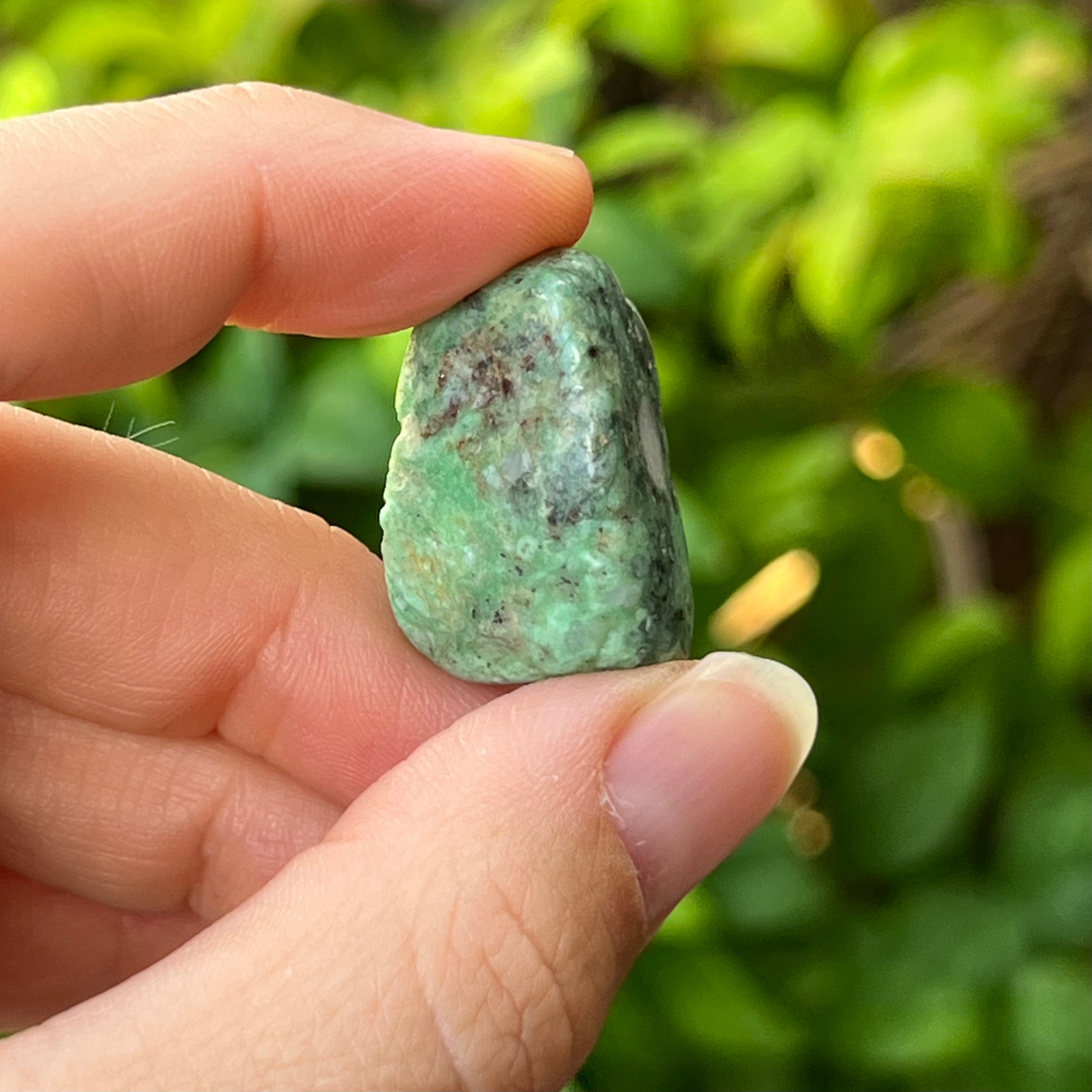 Variscite ~ Specialty Boxed Crystal