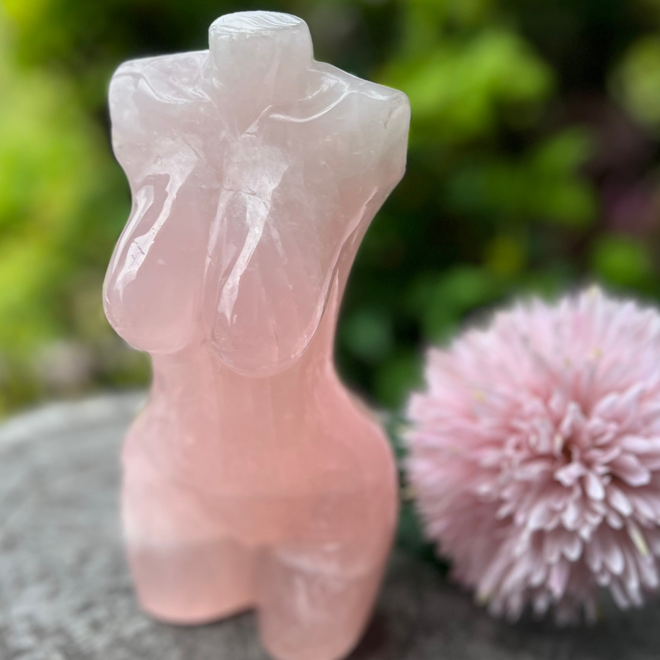 Lady Body ~ Rose Quartz