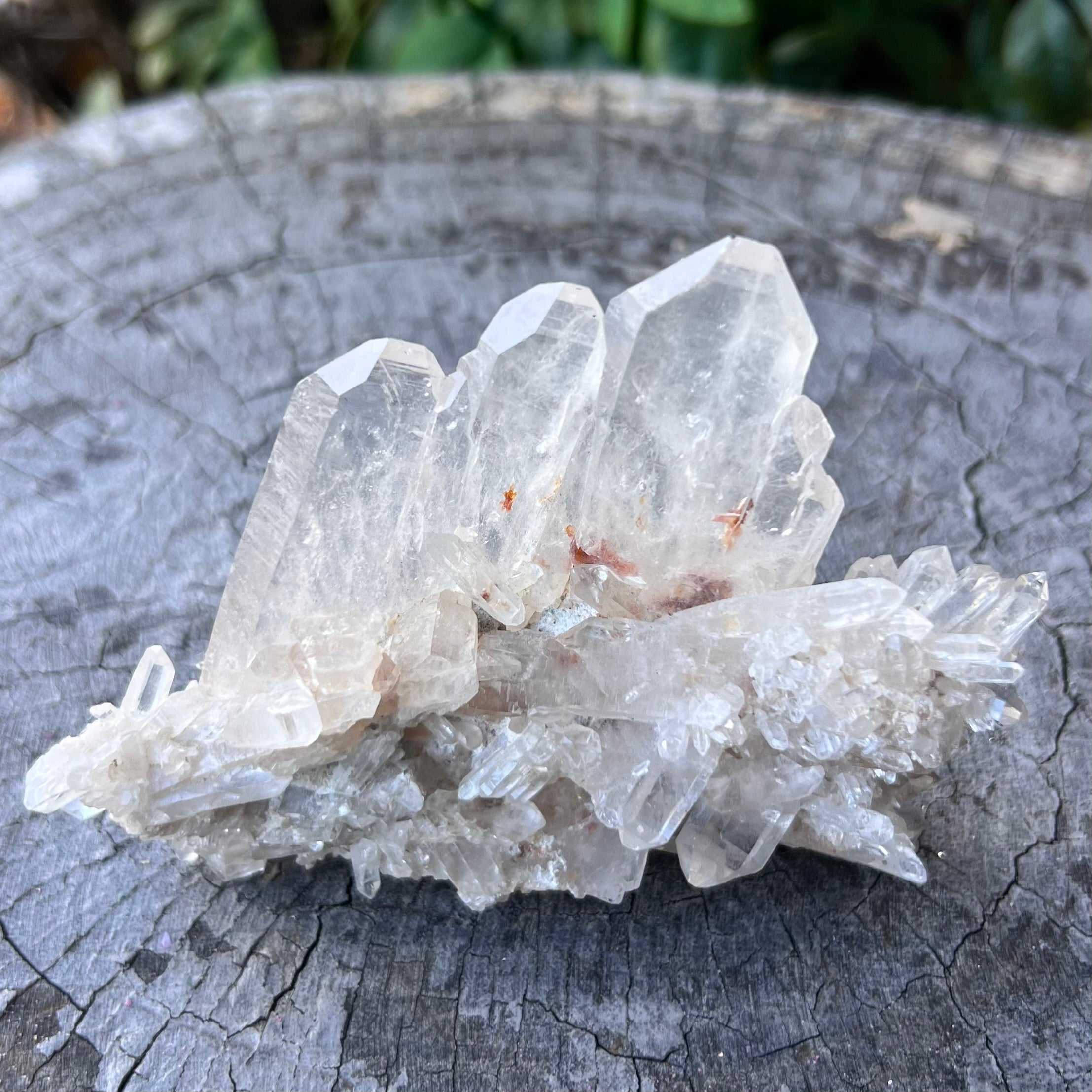 Faden Quartz Family Cluster