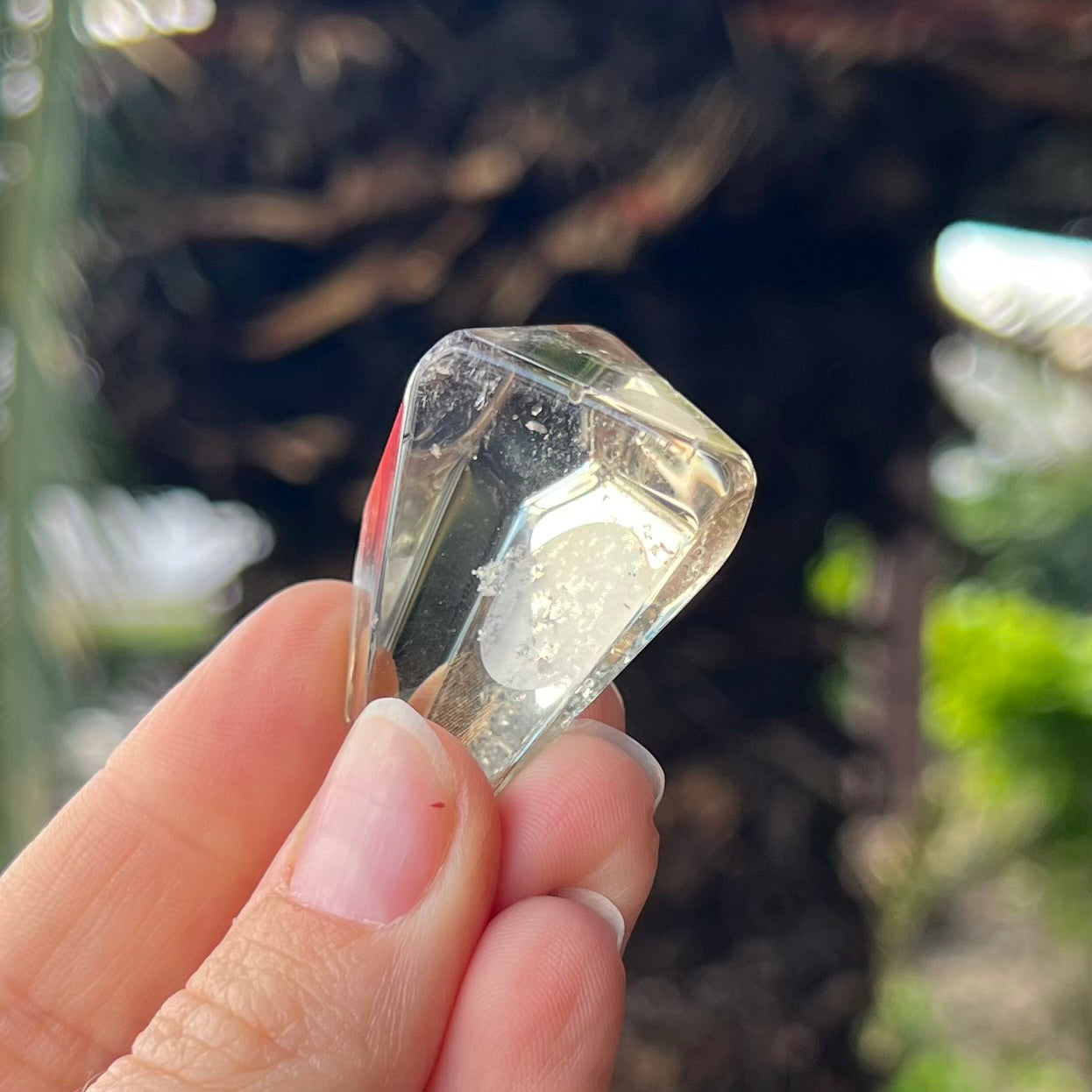 Natural Citrine ~ Specialty Crystal