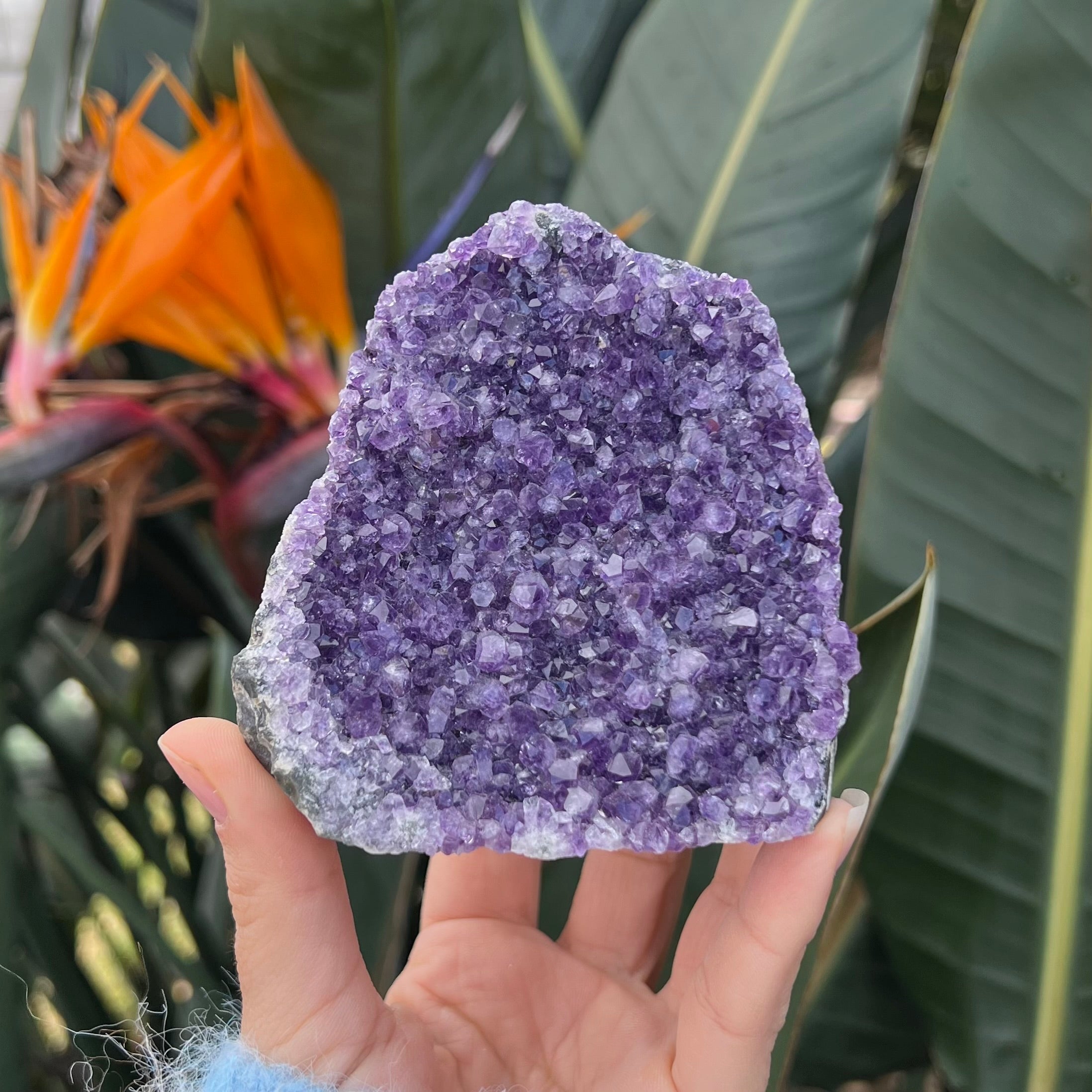 Amethyst Cluster