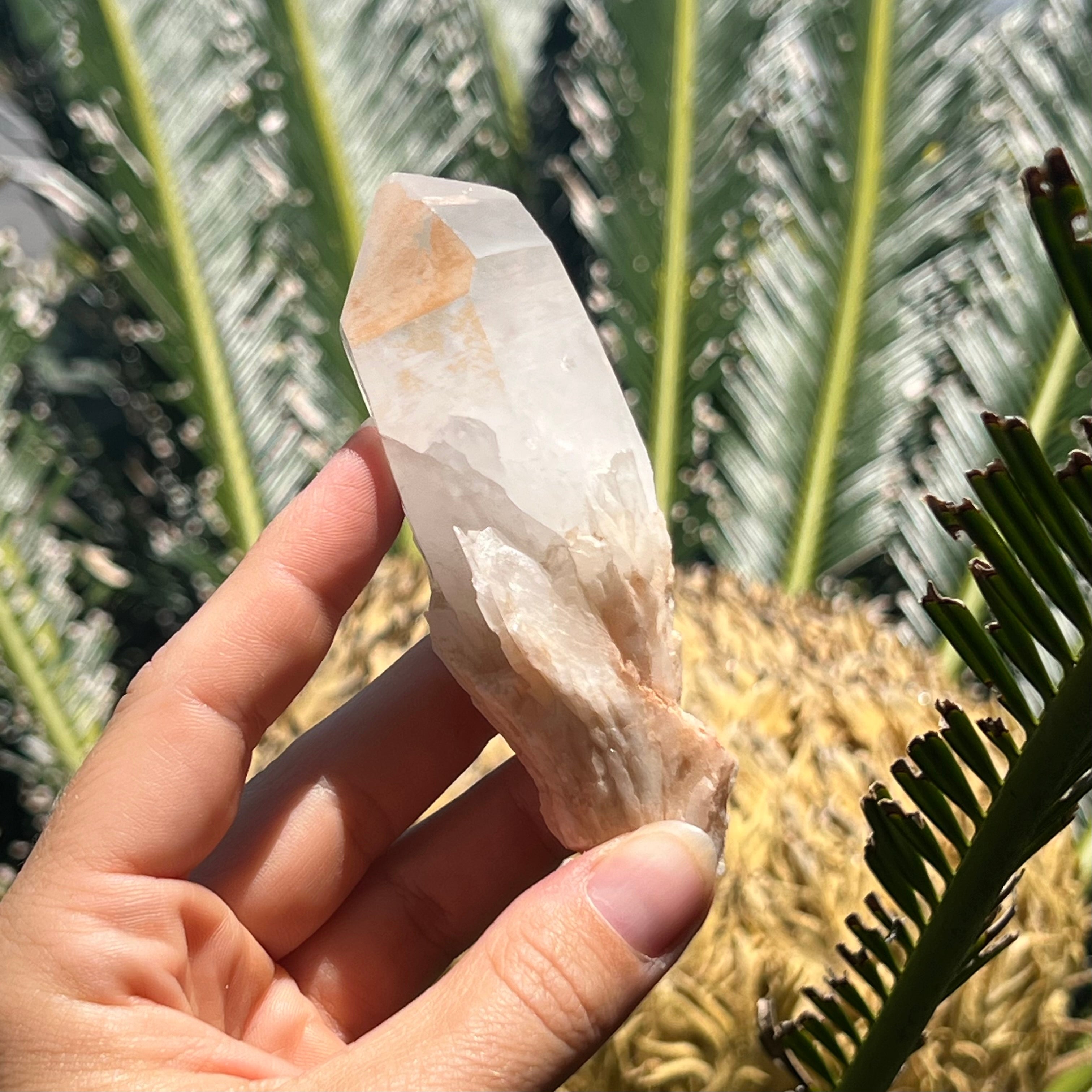 Lithium Quartz
