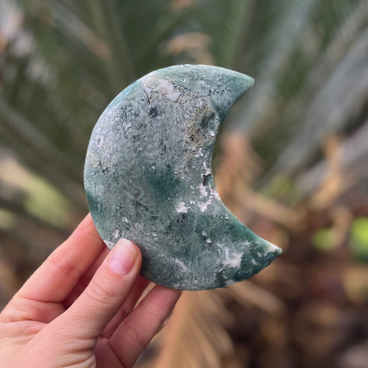 Moss Agate Crescent Moon Carving