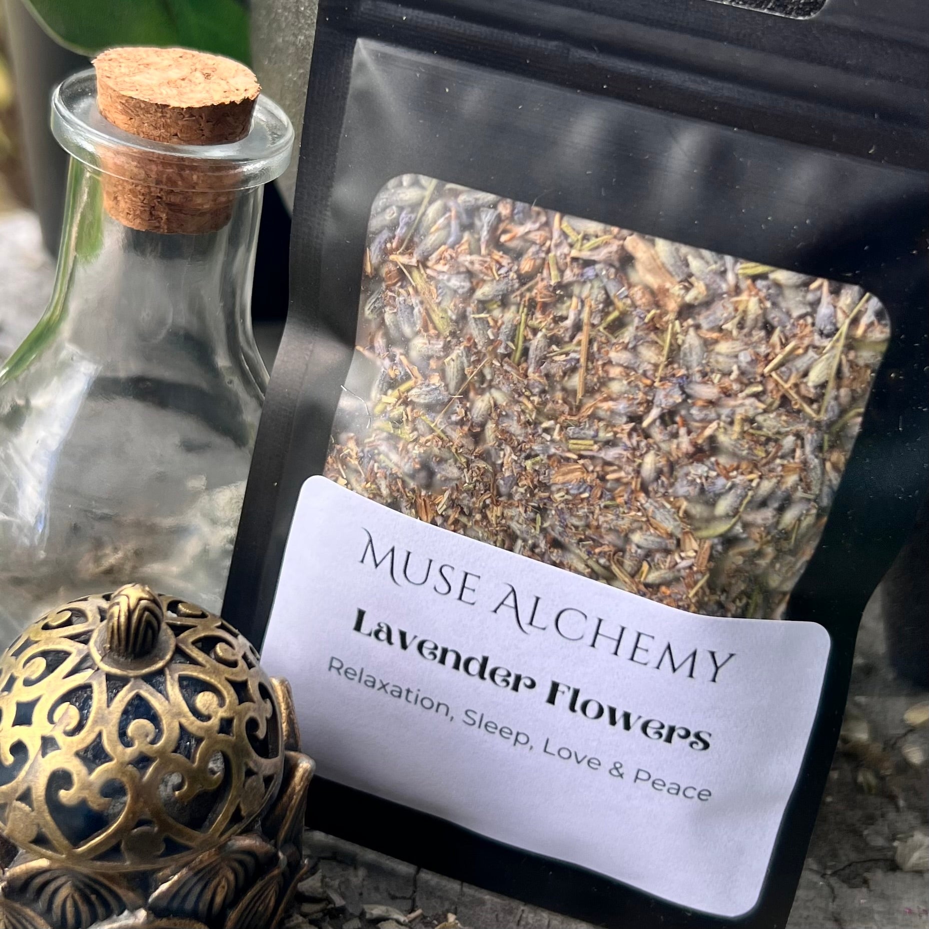 Lavender Flowers ~ Muse Alchemy Botanicals
