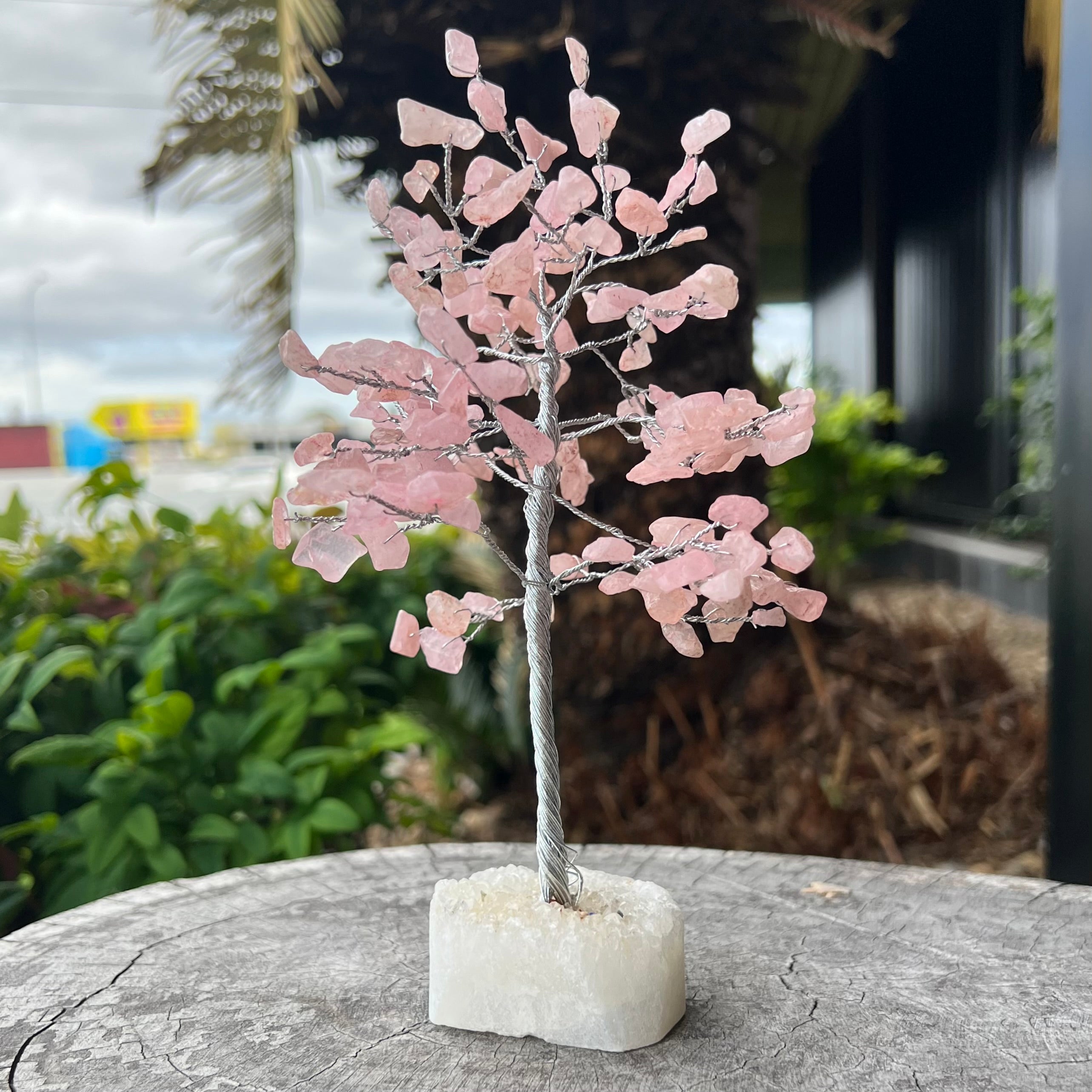 Rose Quartz ~ Loving Blessing Tree