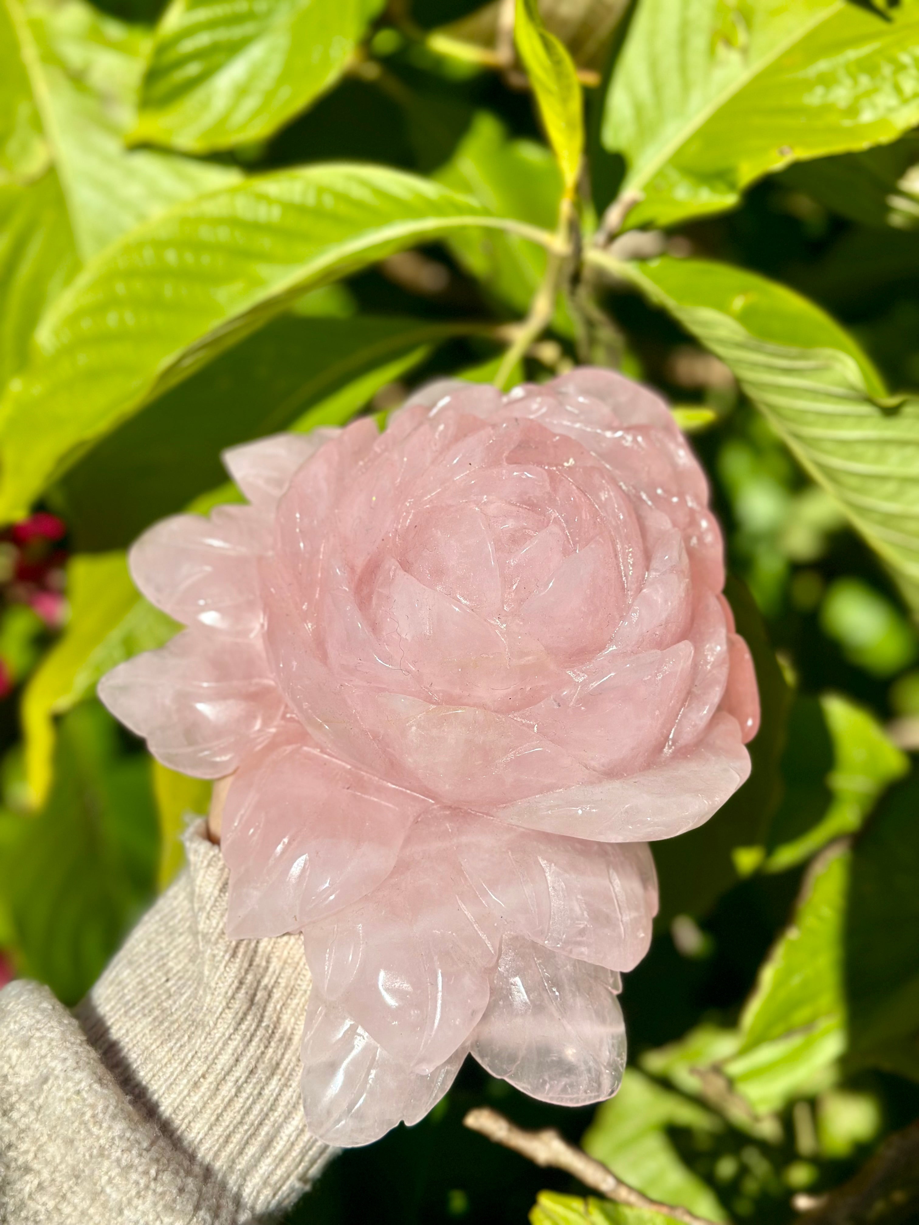 Rose Quartz Rose Carving - Large
