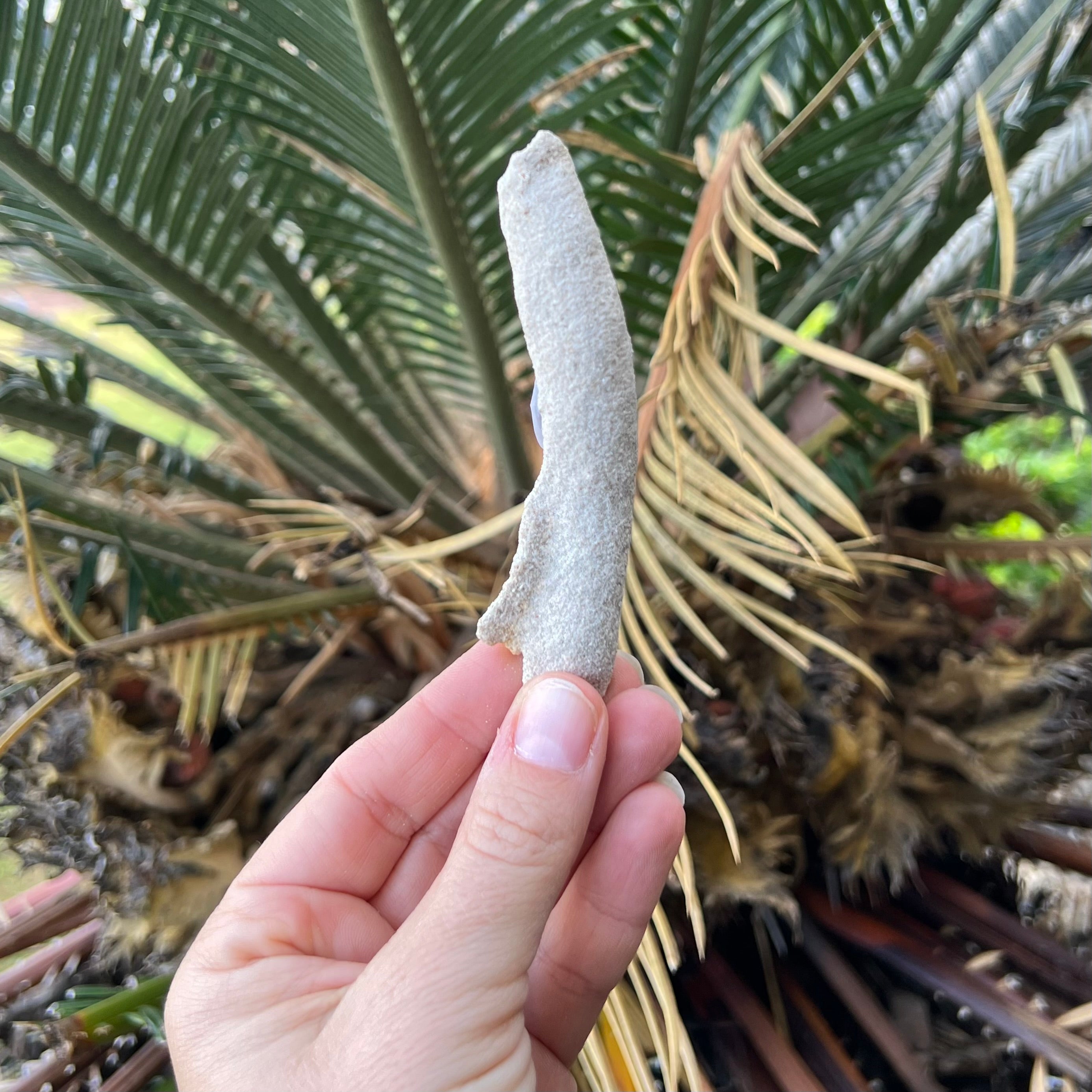 Fulgurite – Petrified Lightning in Your Hands