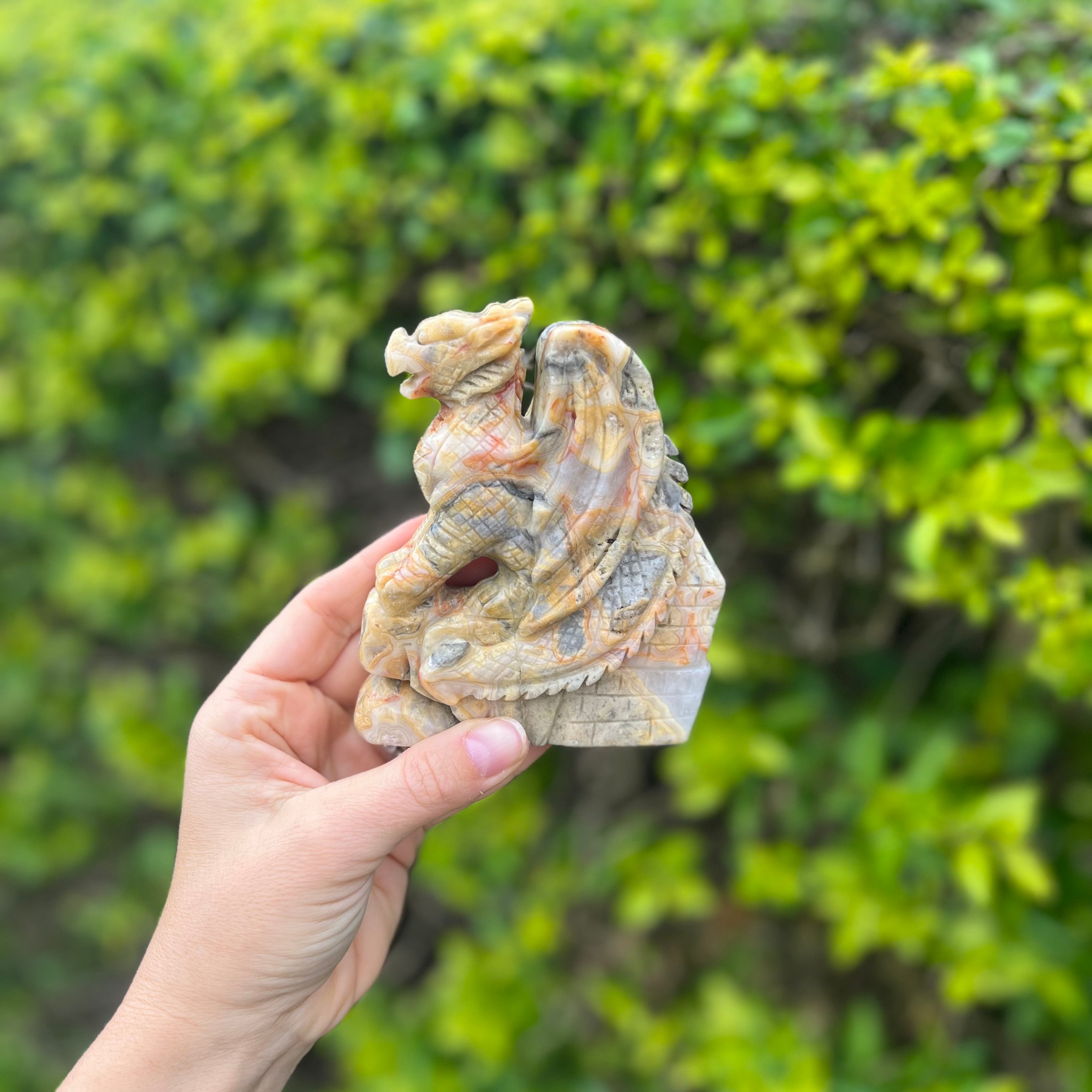 Dragon Carving ~ Crazy Lace Agate
