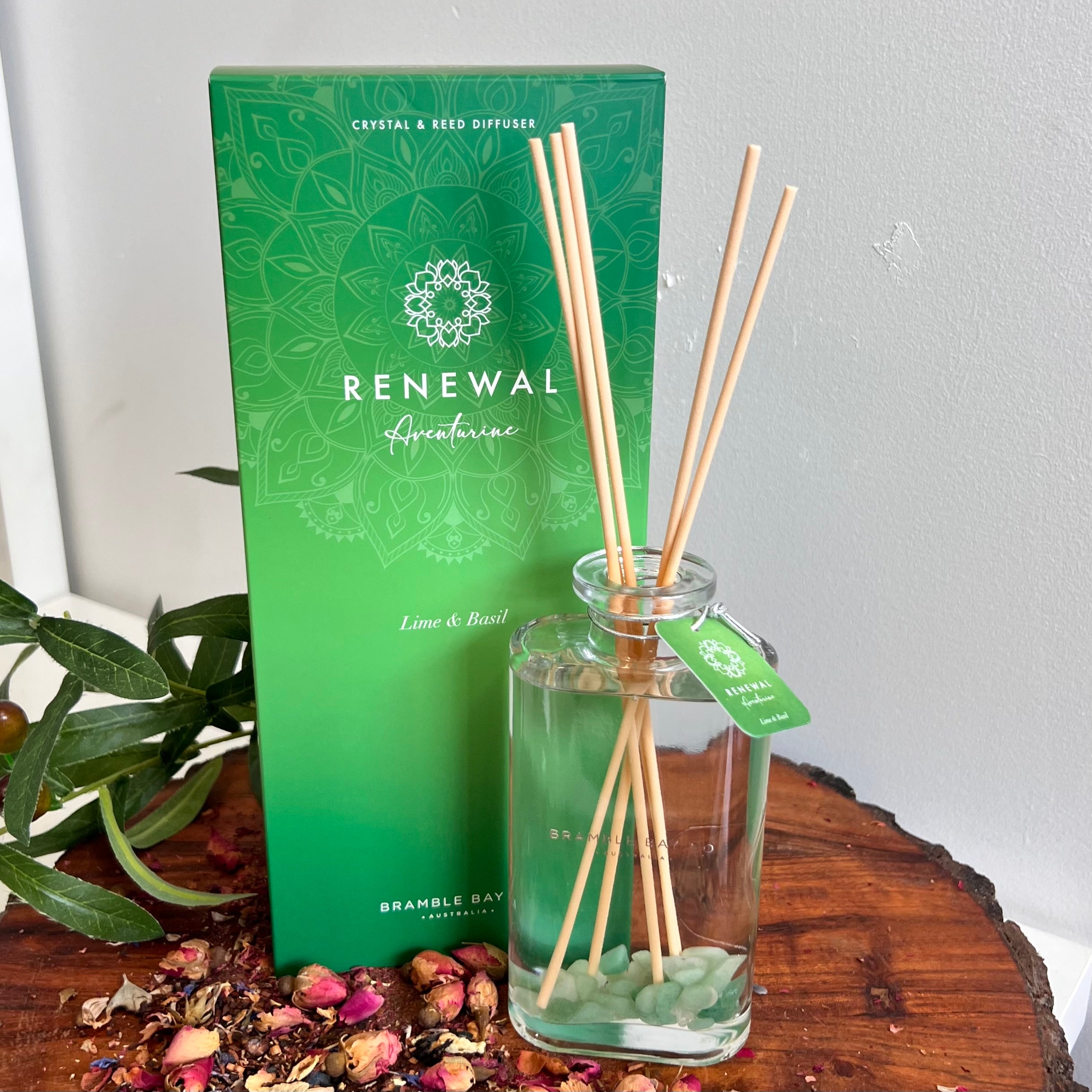 Boho Crystal Renewal Reed Diffuser ~ Aventurine ~
Lime & Basil