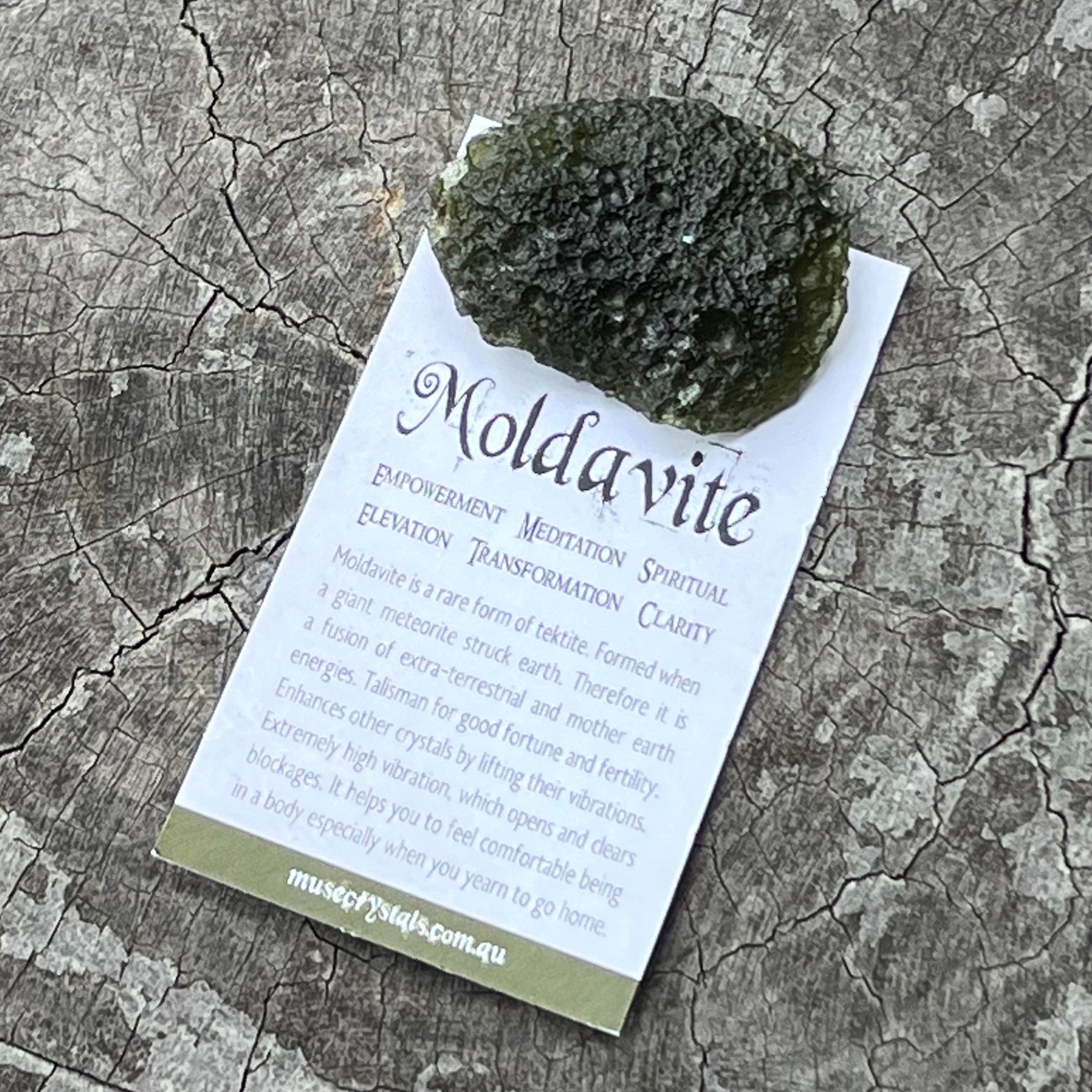 Raw Moldavite Specimen ~ RARE