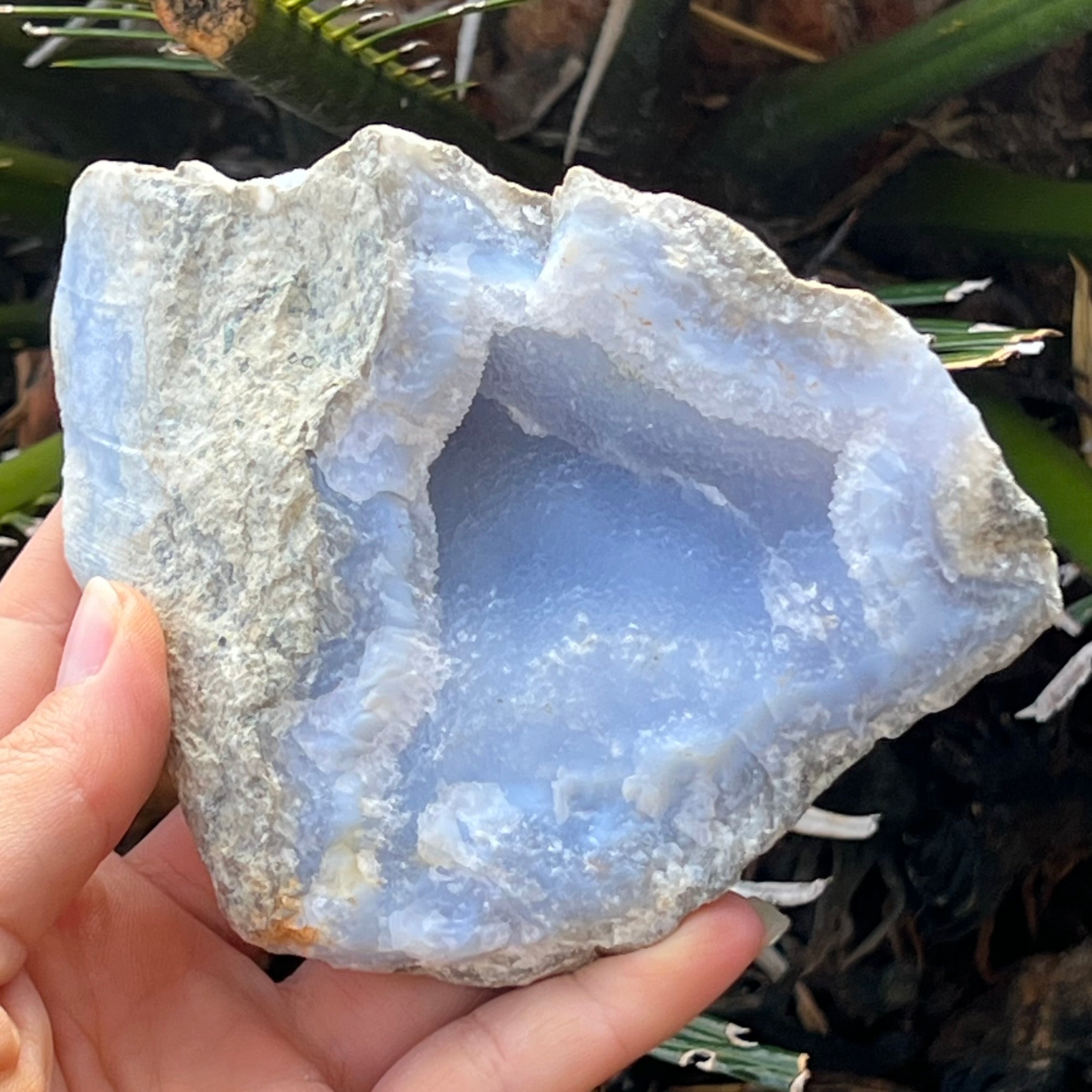 Blue Lace Agate Geode