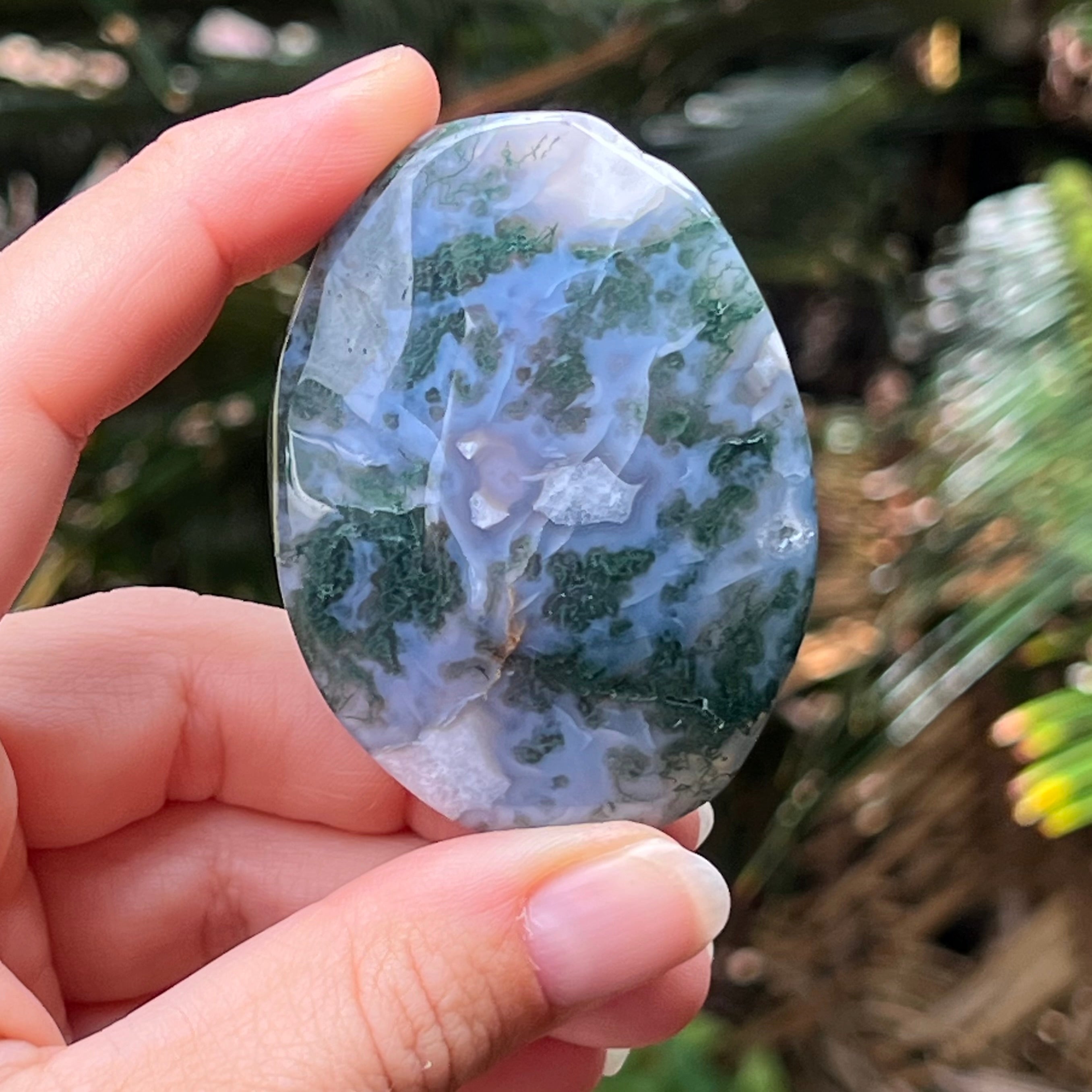Moss Agate Palm Stone ~ 2