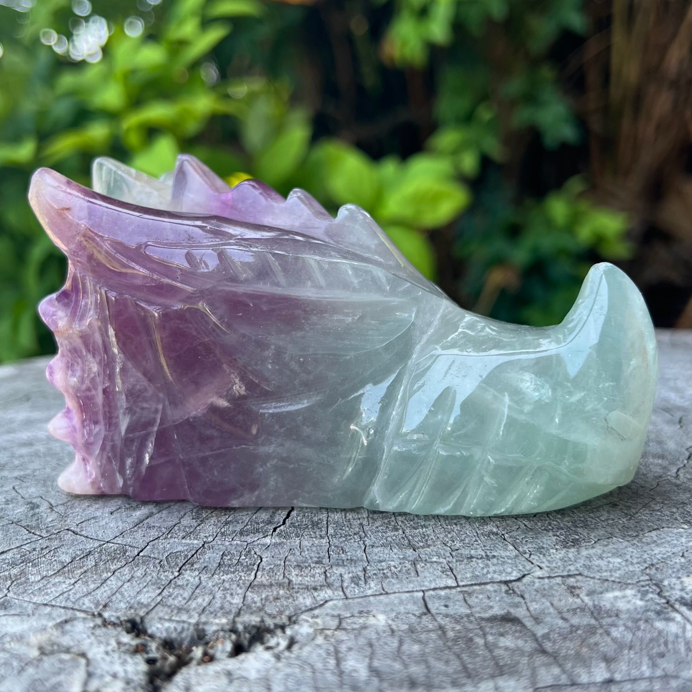 Rainbow Fluorite Dragon Head Carving