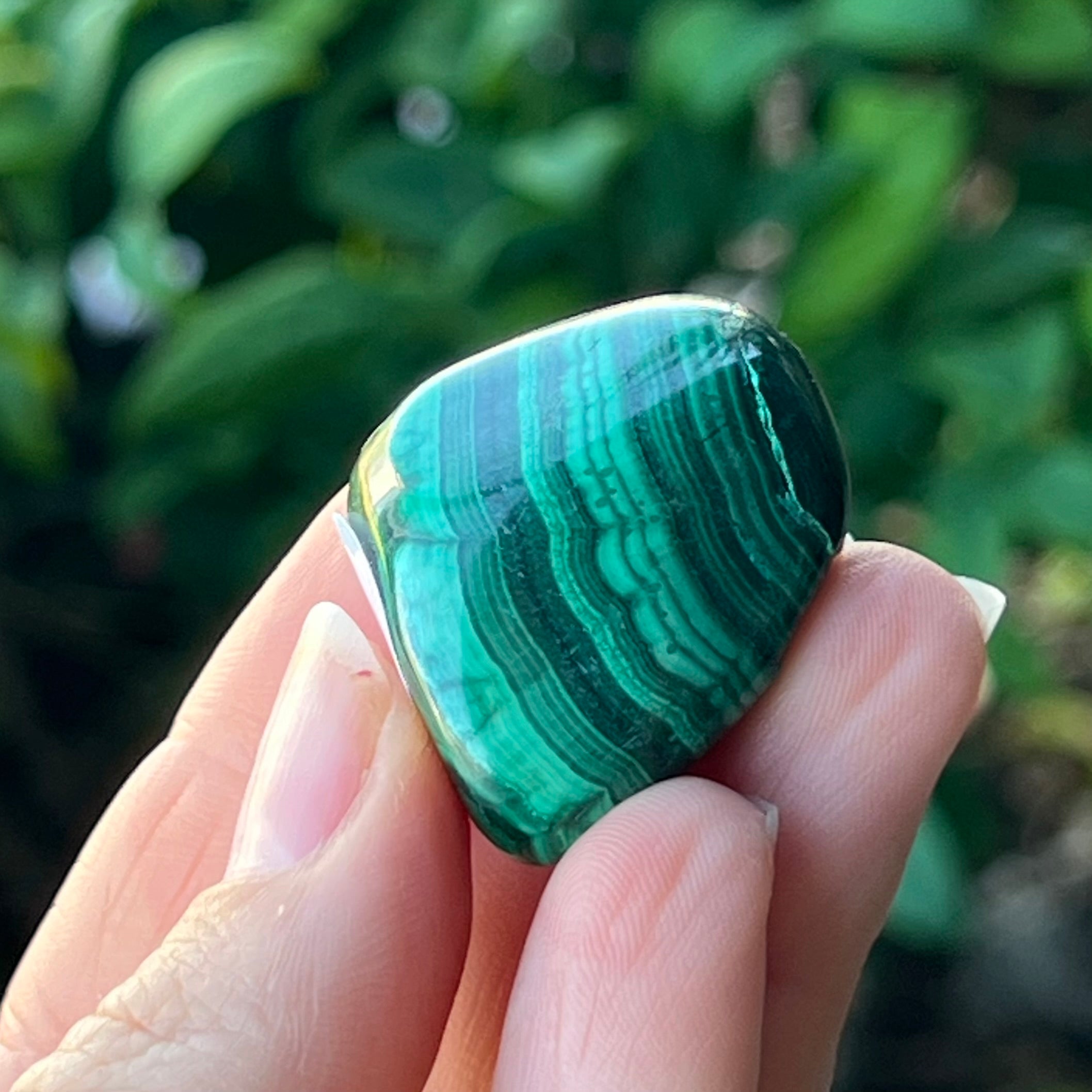 Malachite ~ Specialty Boxed Crystal