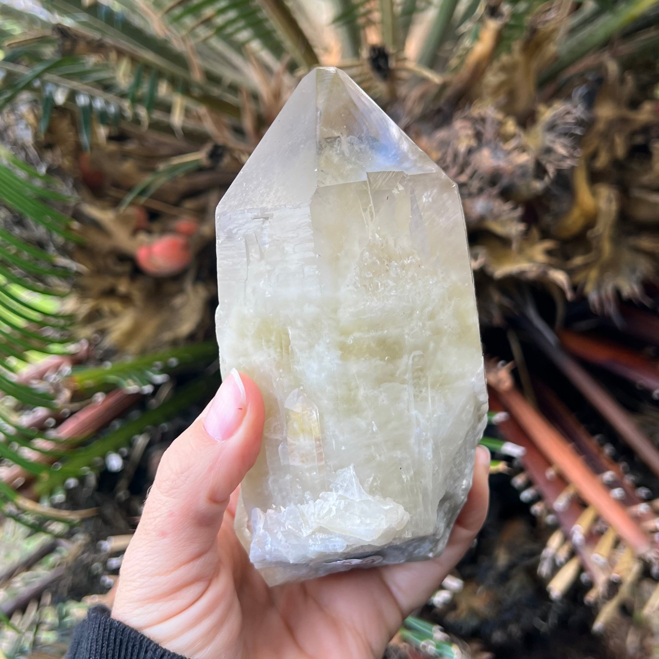 Kundalini Citrine~ Specialty Crystal