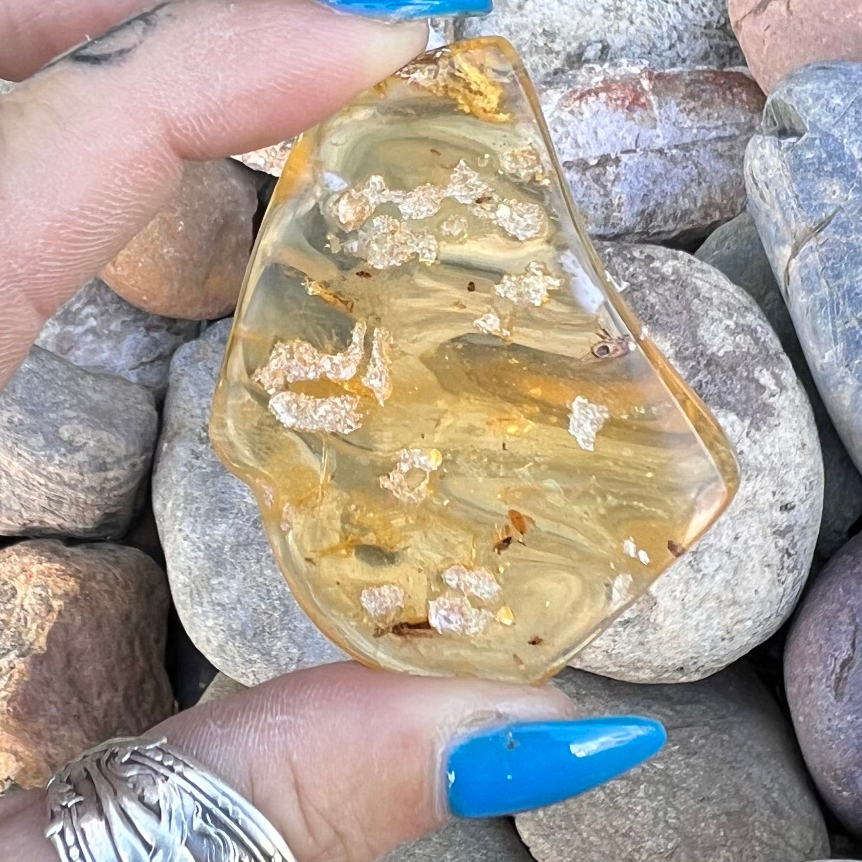 Amber with Insects Specimen ~ Specialty Boxed Crystal