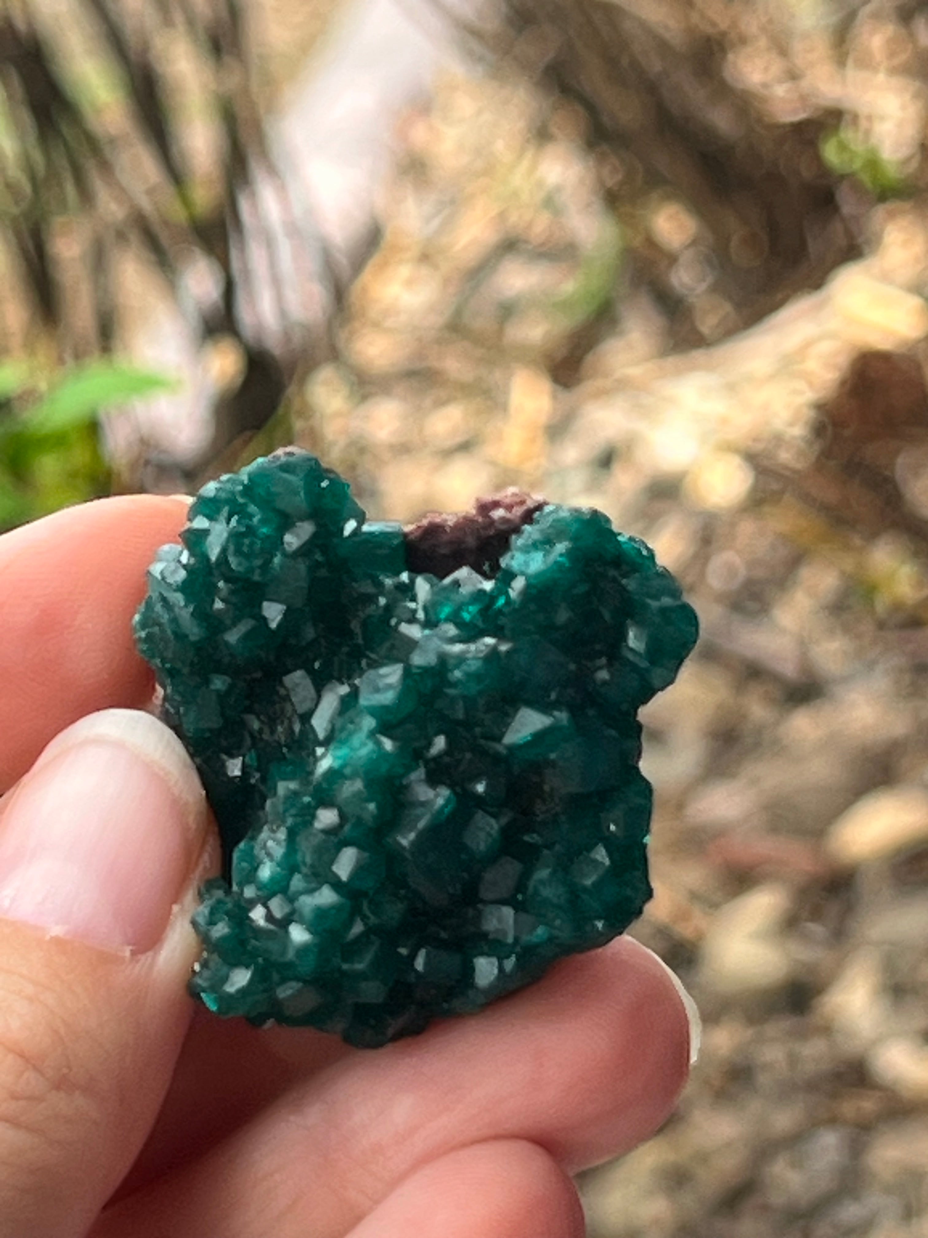 Diopsite ~ Specialty Crystal