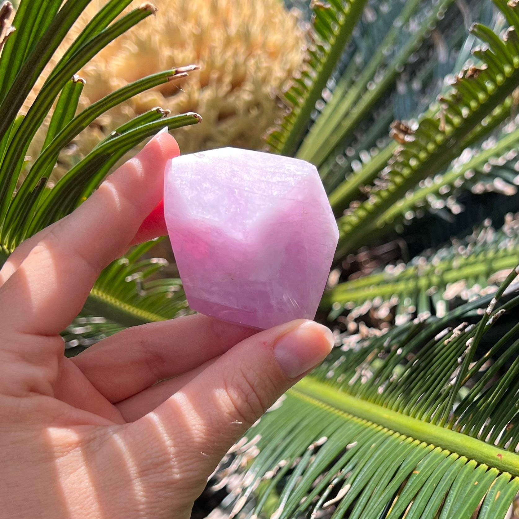 Kunzite Freeform Point