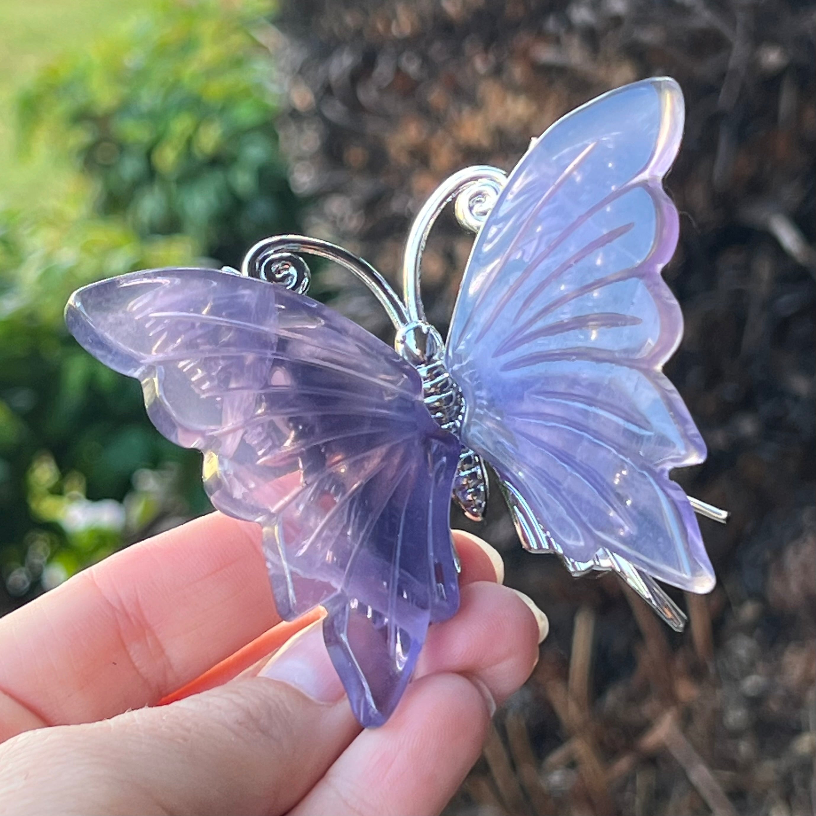 Purple Fluorite Butterfly