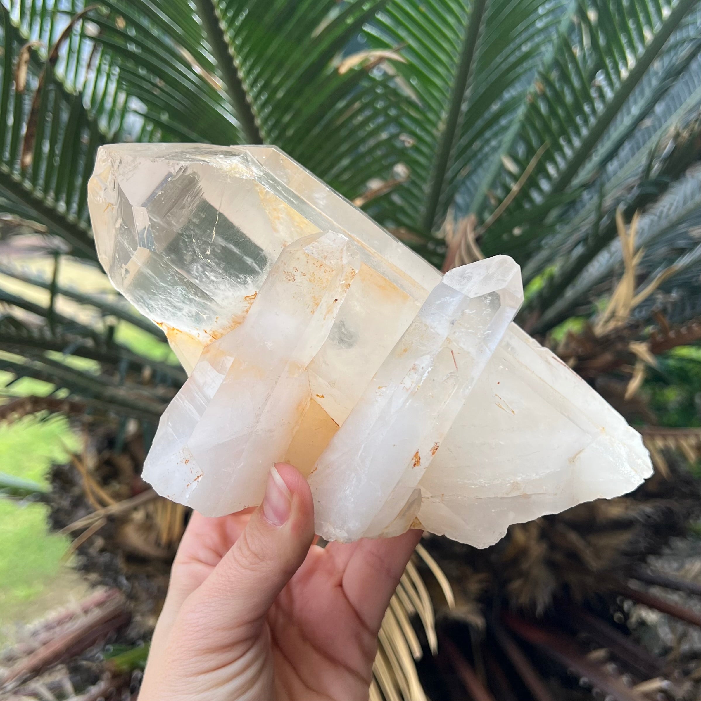 Clear Quartz Cluster