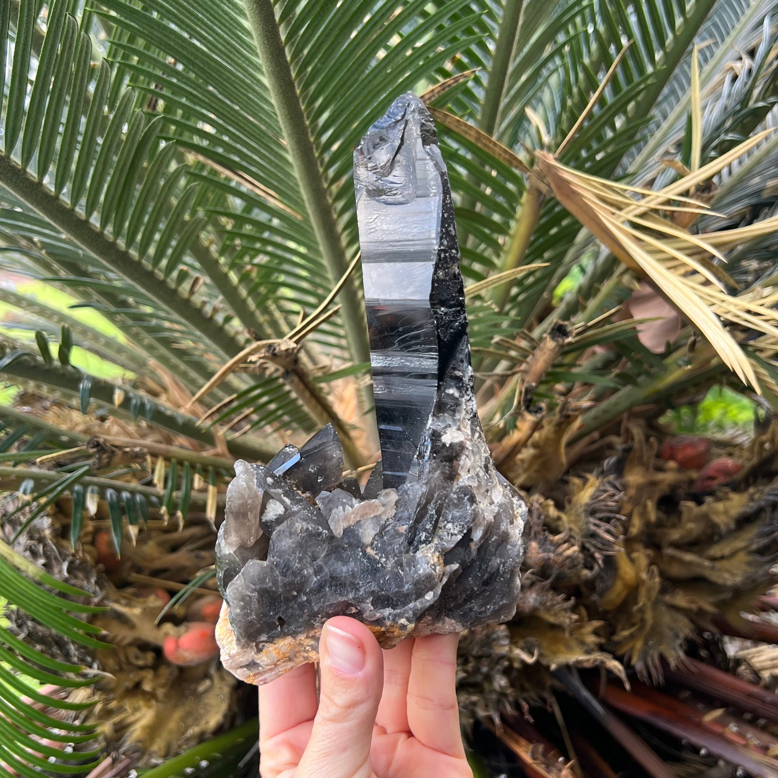Natural Smoky Lemurian Quartz Cluster