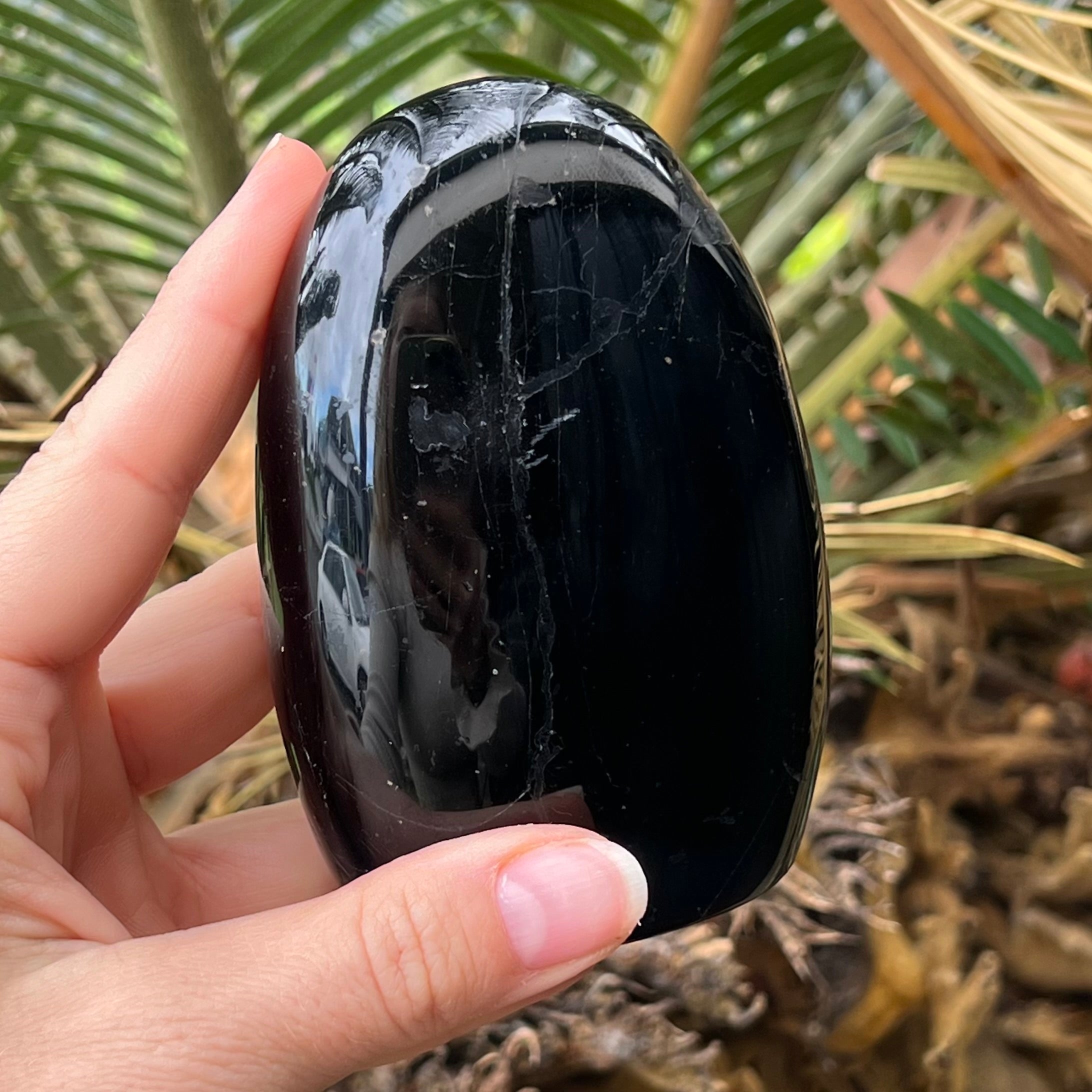Black Tourmaline Freeform ~ 2