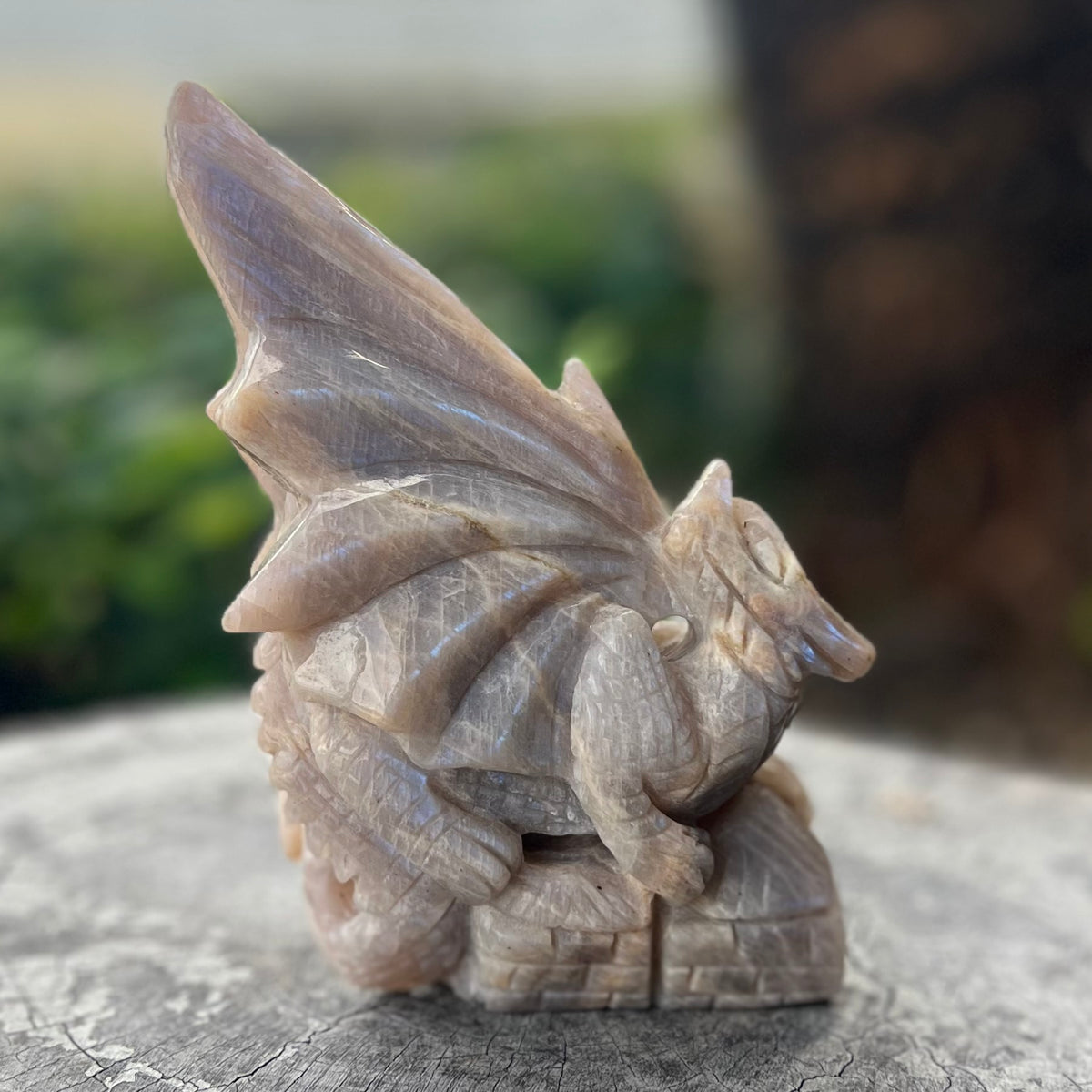 Dragon Carving ~ Moonstone