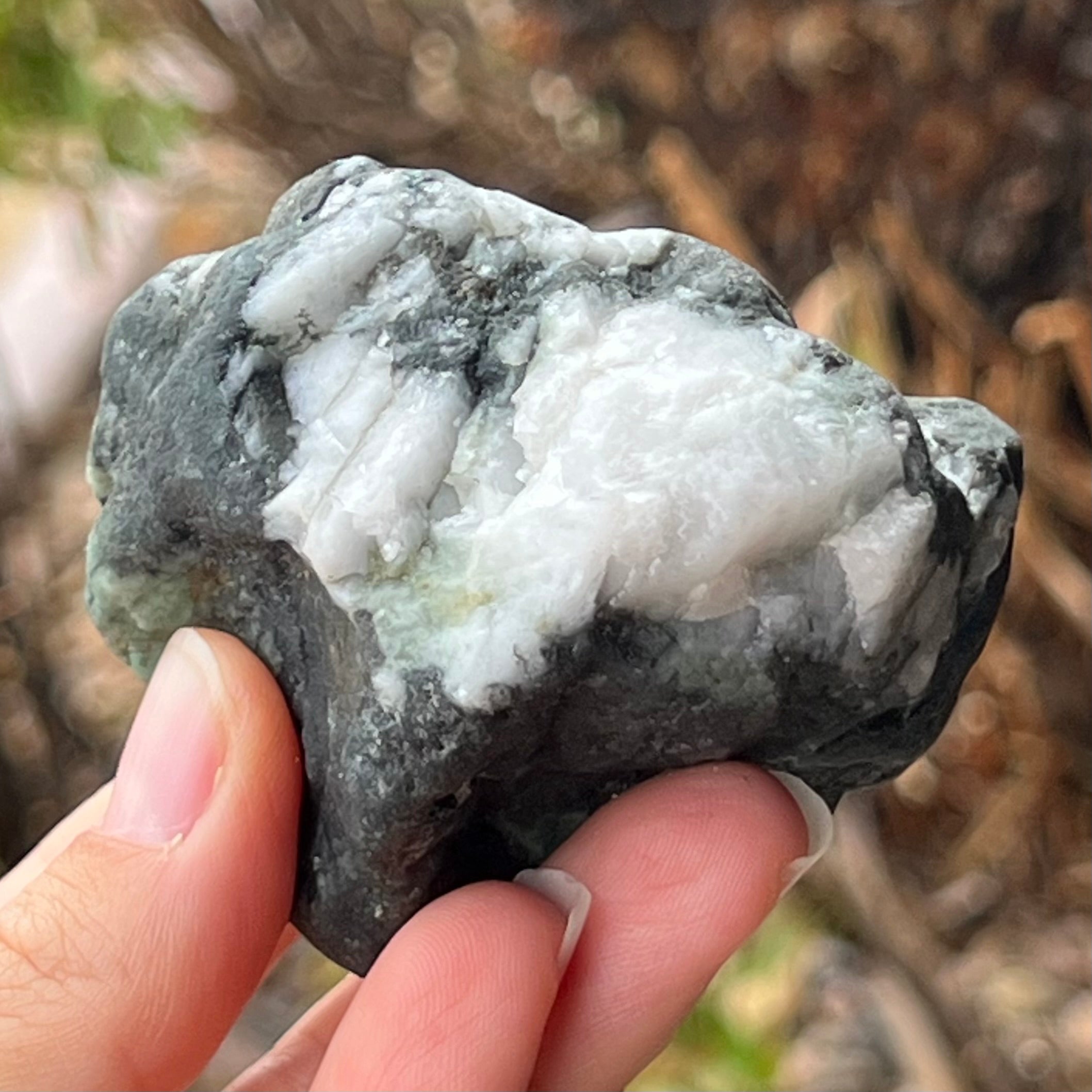 Emerald ~ Specialty Crystal