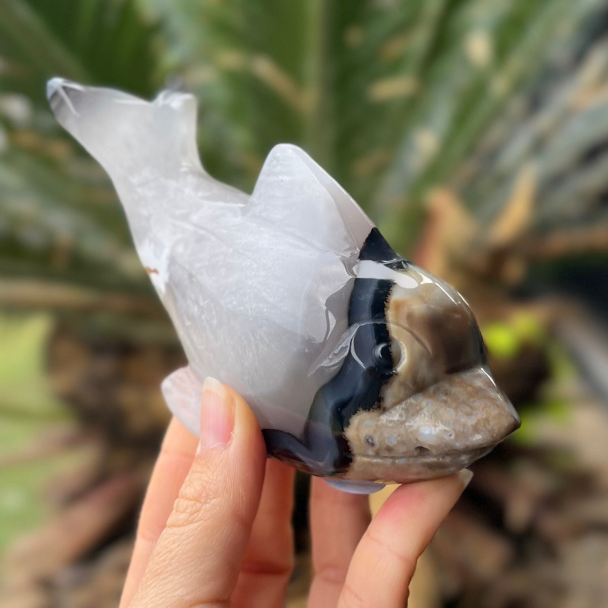Agate Dolphin Carving