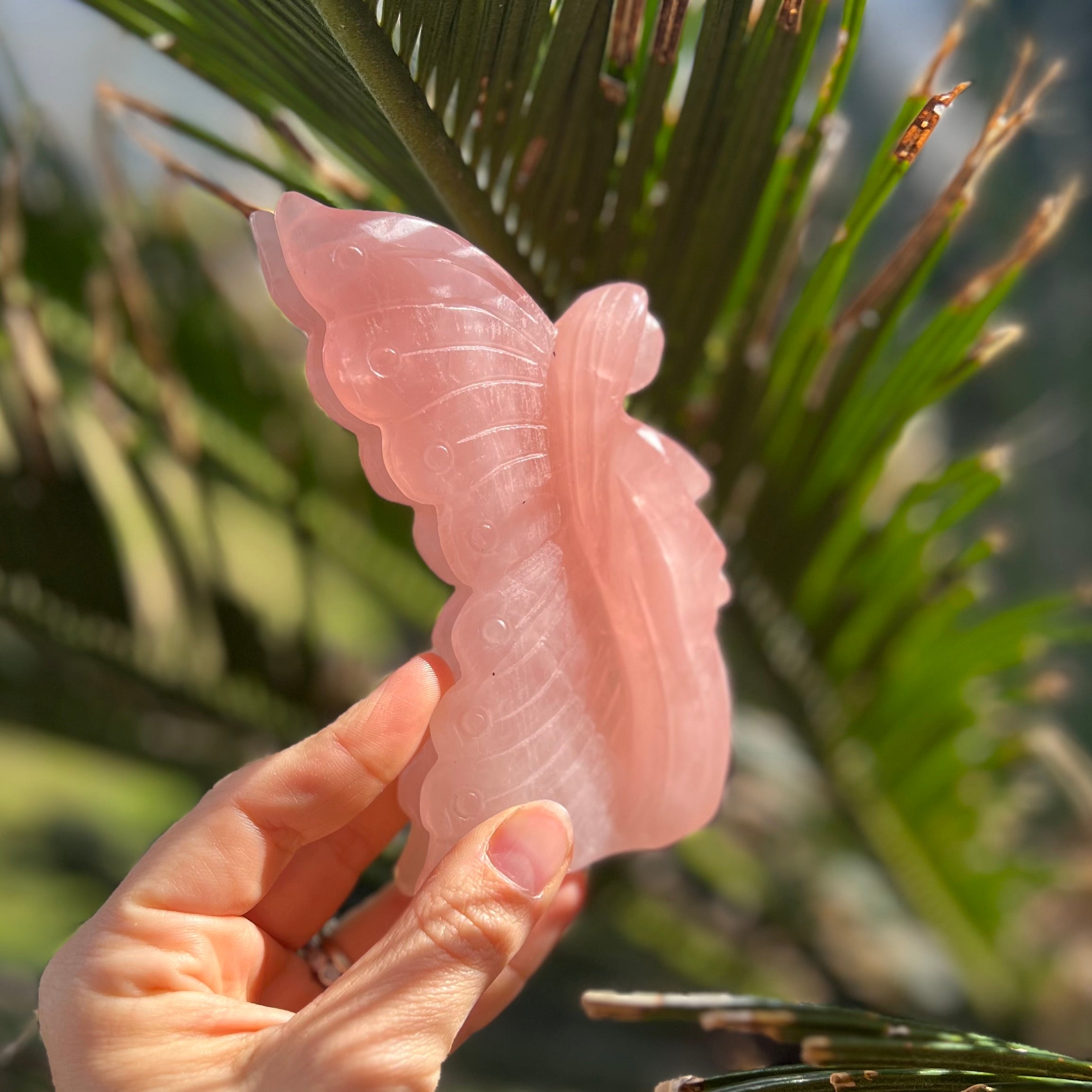 Lady Butterfly ~ Love ~ Rose Quartz