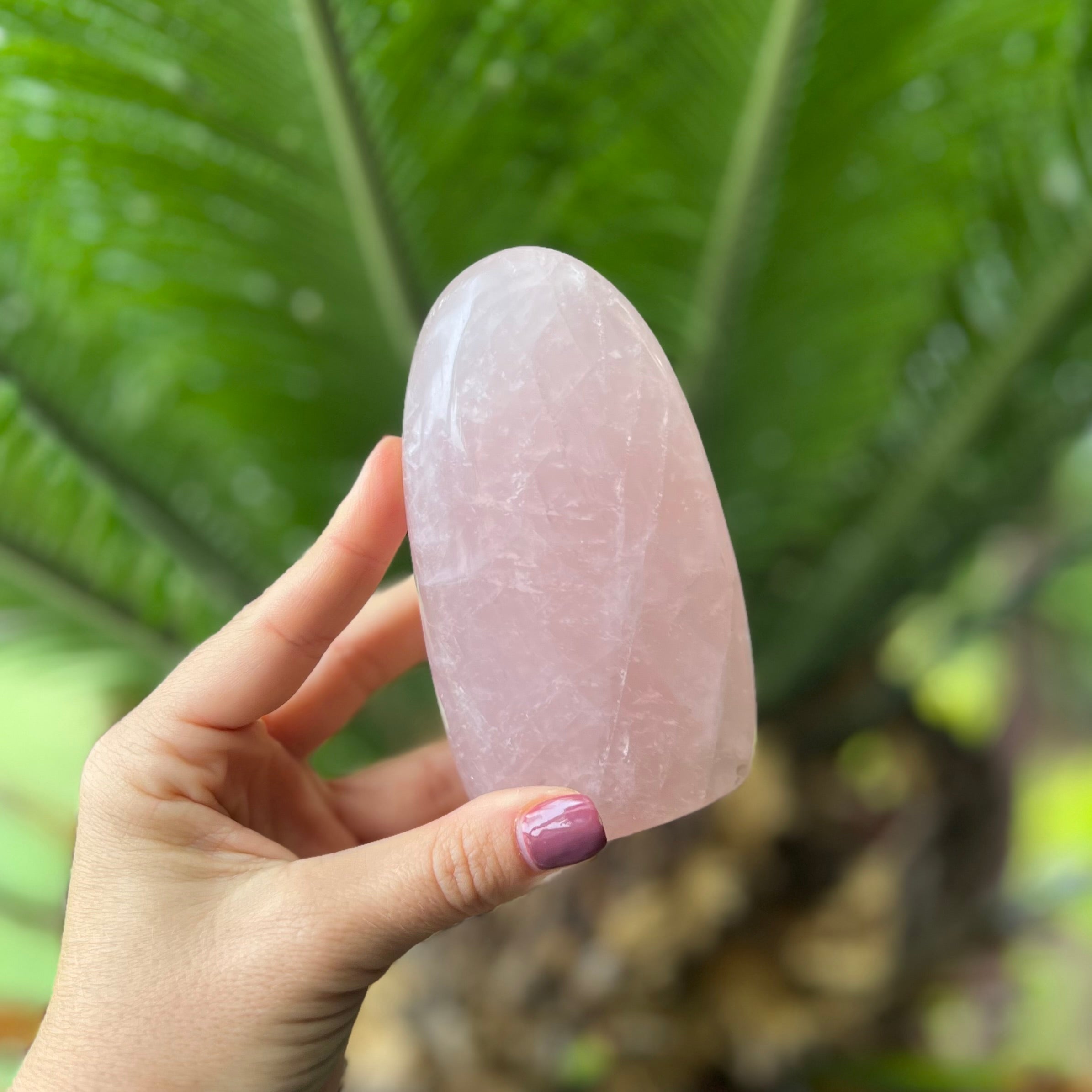 Rose Quartz Eye Freeform